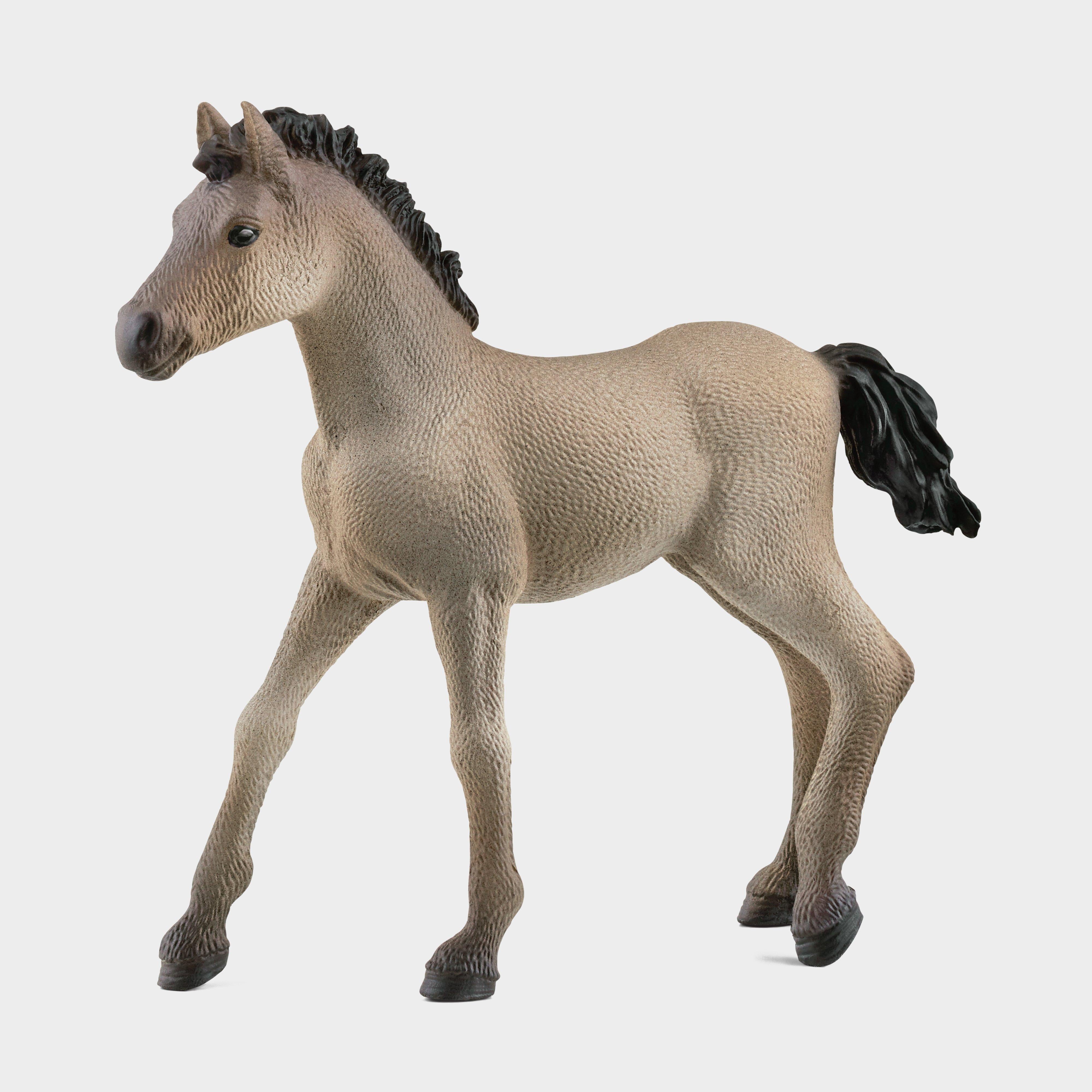 Criollo Definitivo Foal