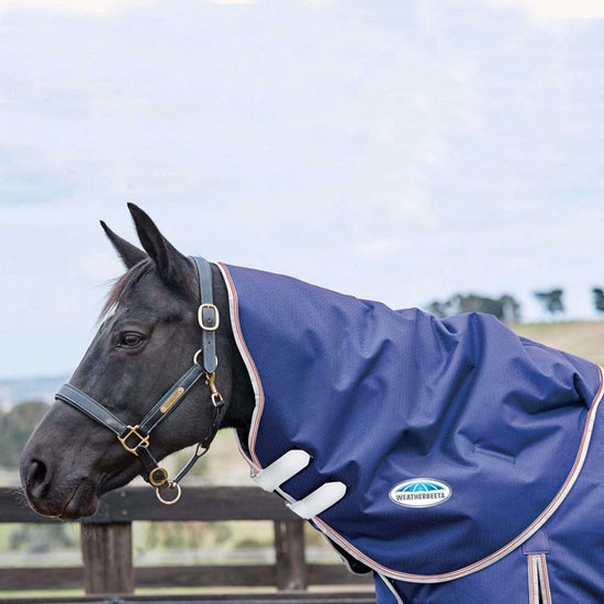 ComFiTec Essential Standard Neck Blue