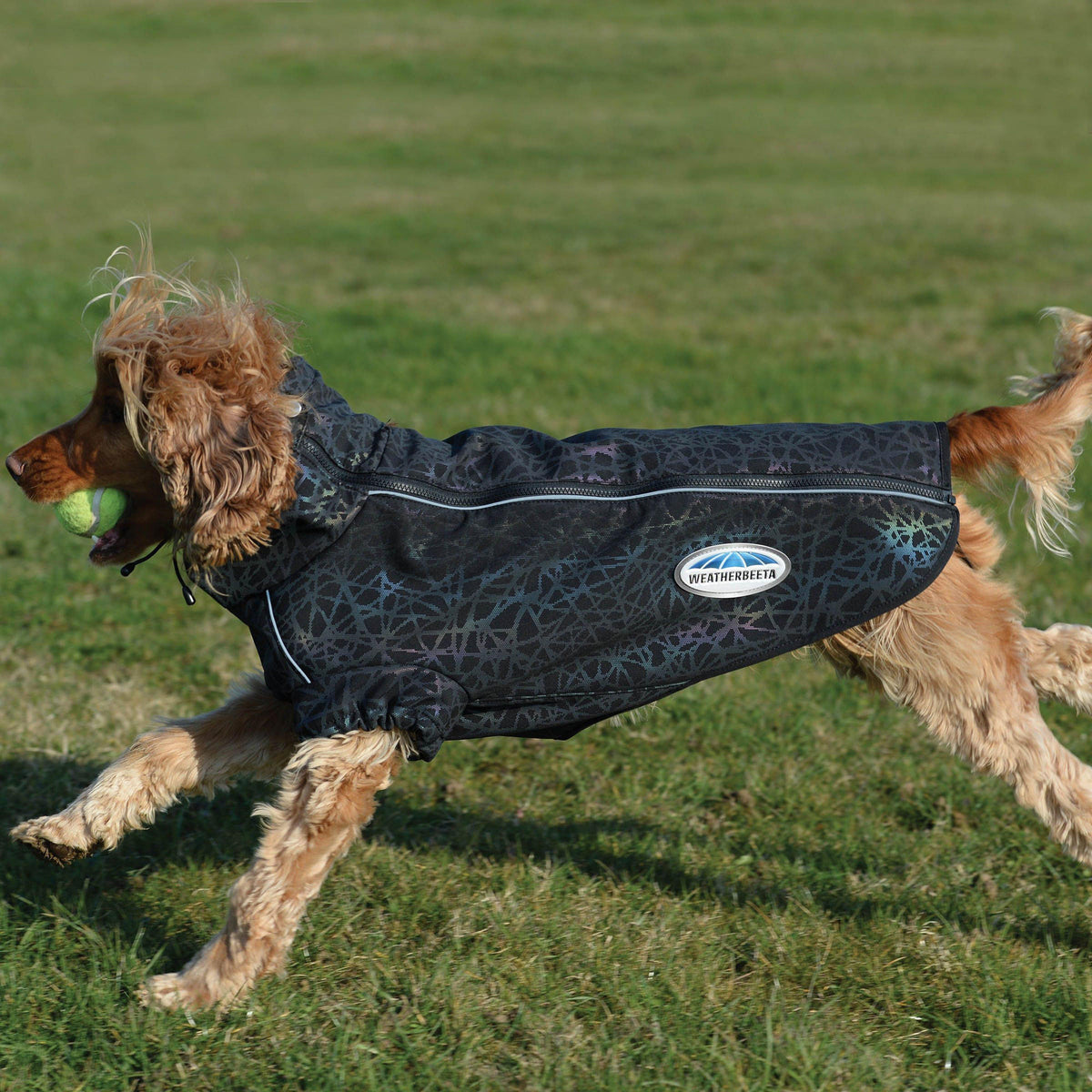 ComFiTec Reflective Active Dog Coat Black