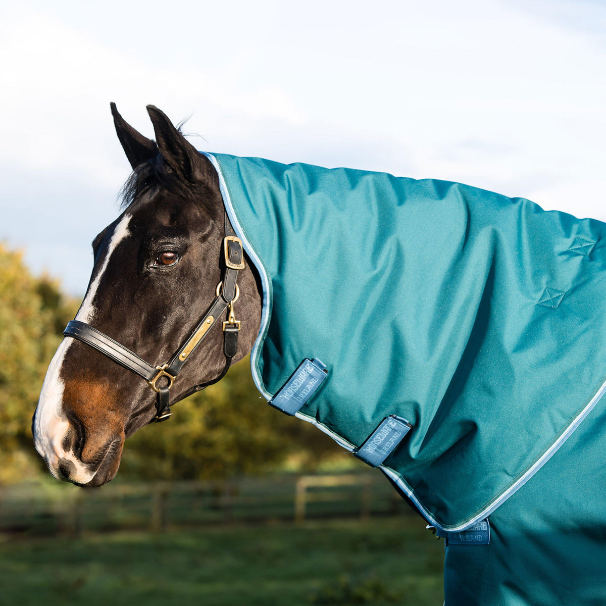 Amigo® Bravo 12 Plus 400g Heavyweight Detach-A-Neck Turnout Rug Teal