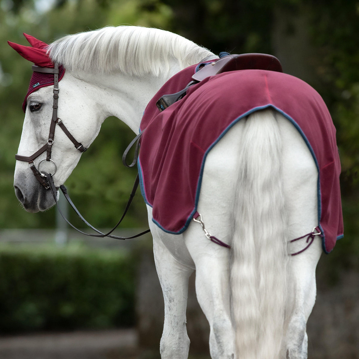 Rambo® Fleece Competition Sheet Burgundy