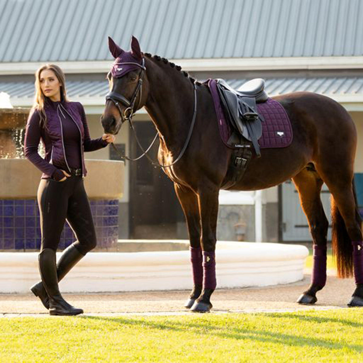 Loire Dressage Saddle Pad Fig