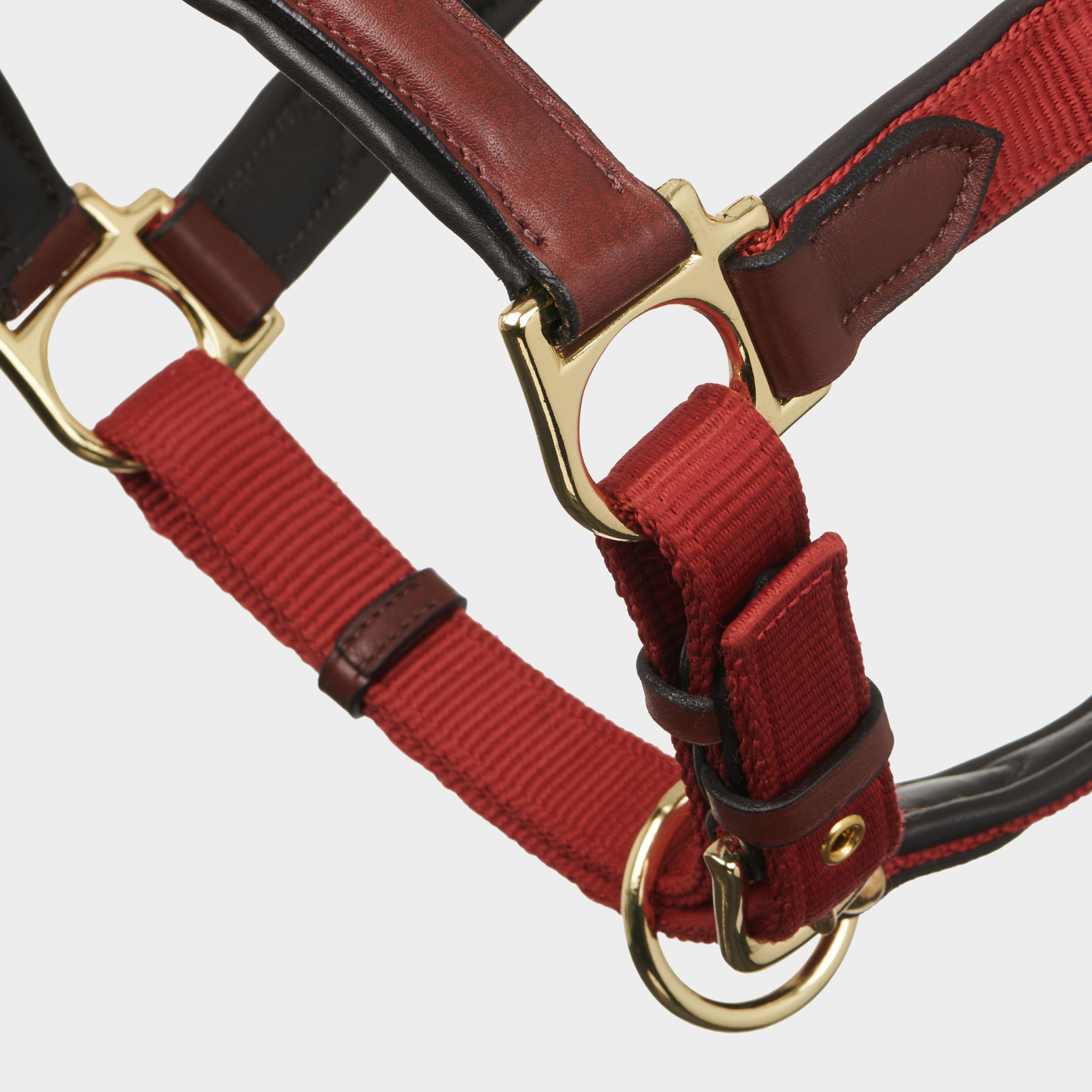 Capella Headcollar Sienna