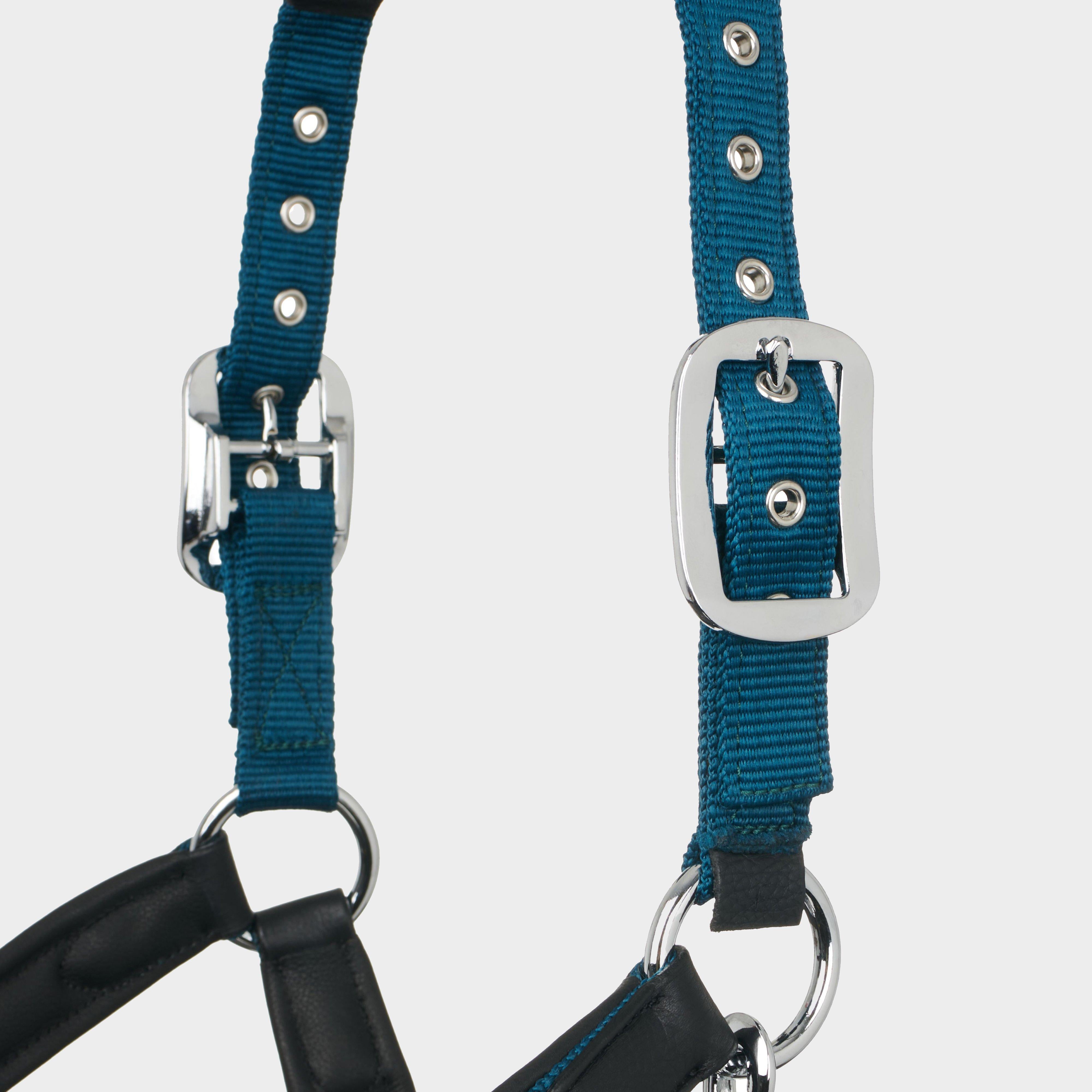 Capella Headcollar Marine