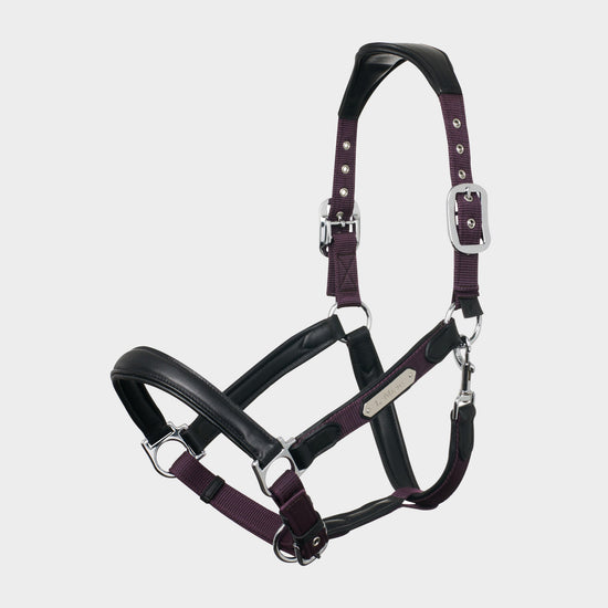 Capella Headcollar Fig