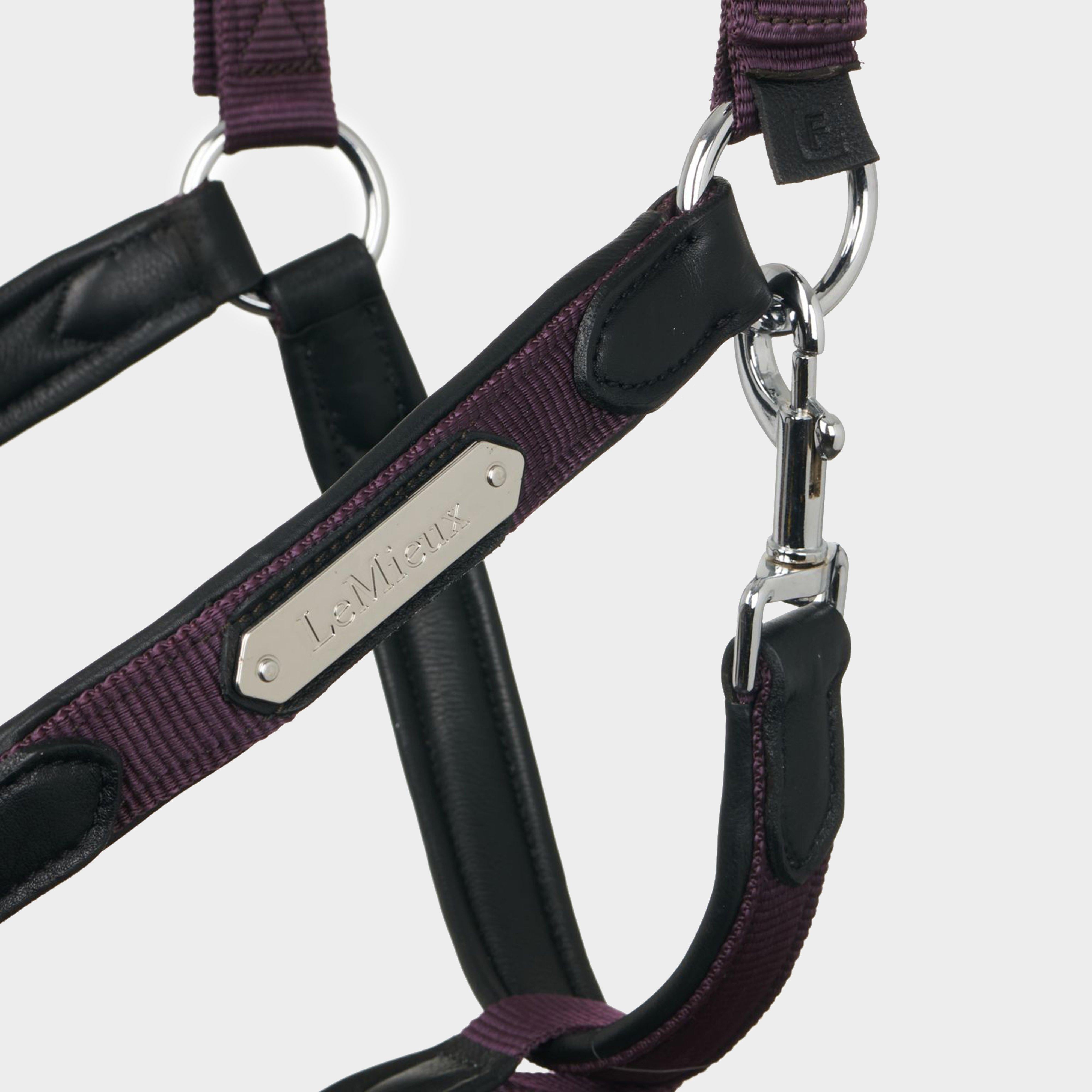 Capella Headcollar Fig