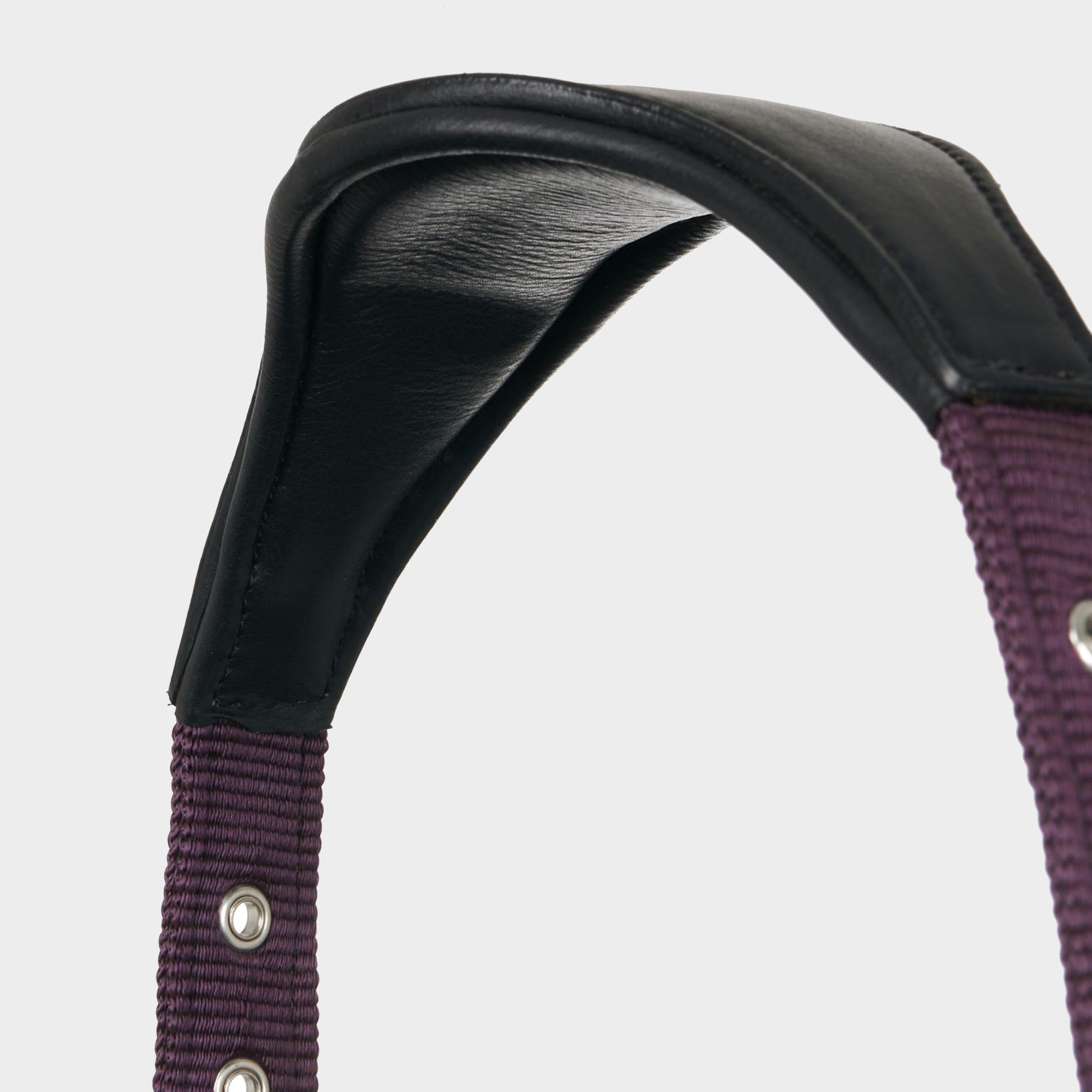 Capella Headcollar Fig