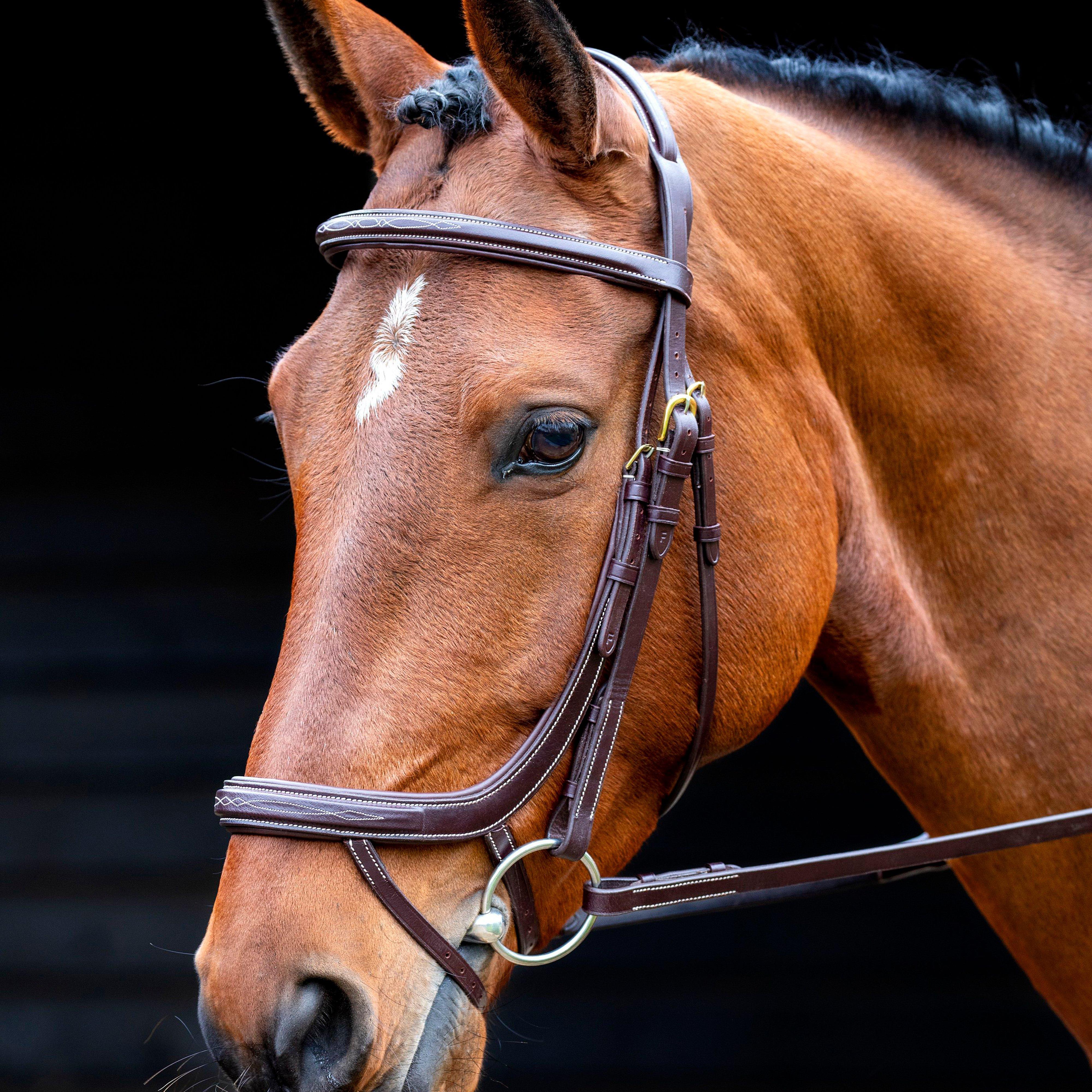 Buckingham Bridle Australian Nut