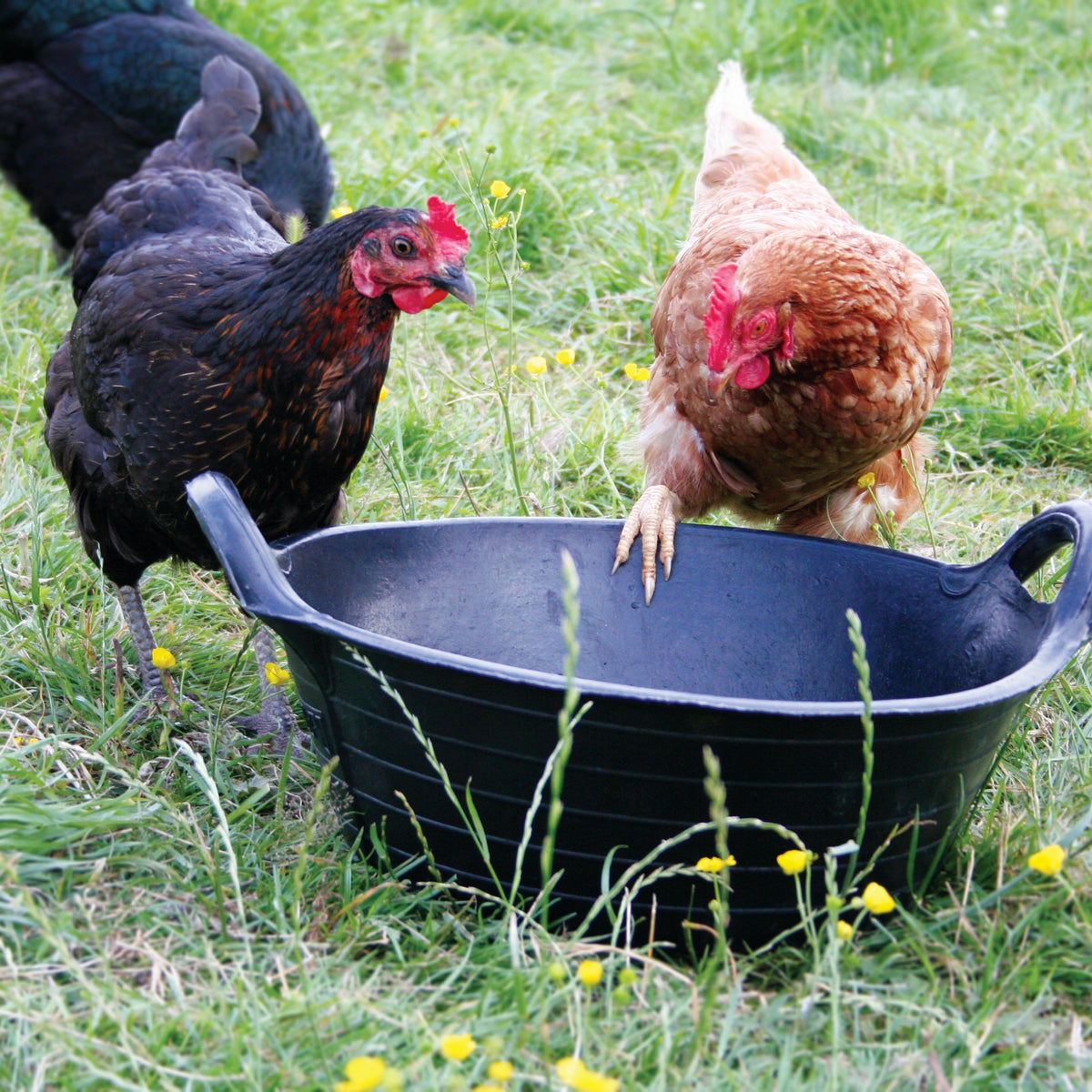 Tyre Rubber Feed Skip Black