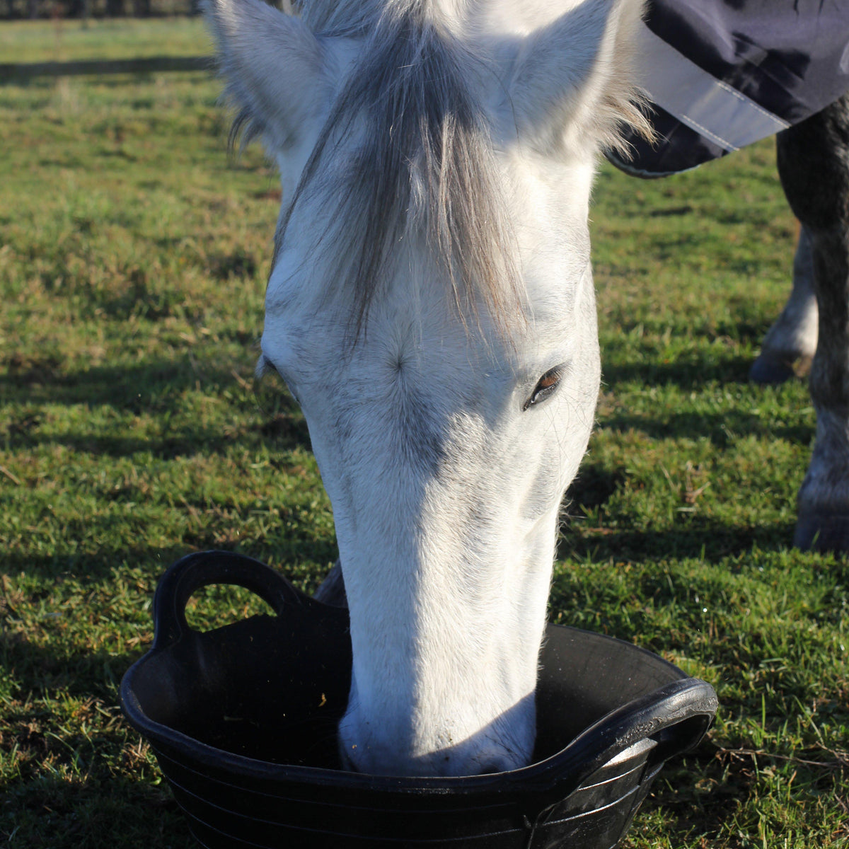 Tyre Rubber Feed Skip Black