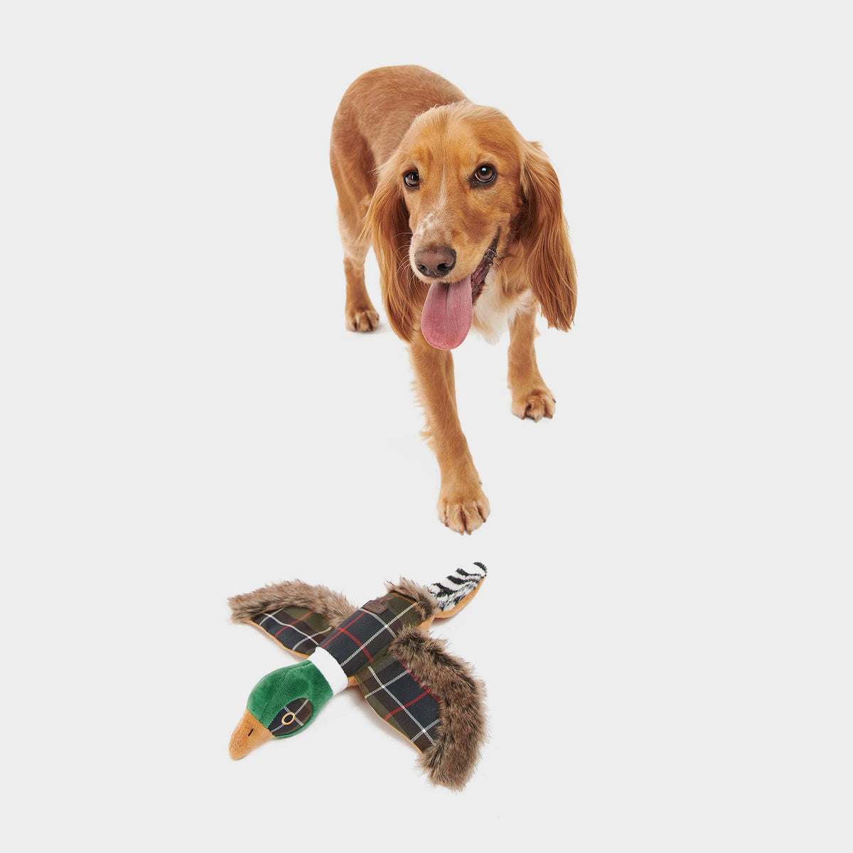 Pheasant Dog Toy