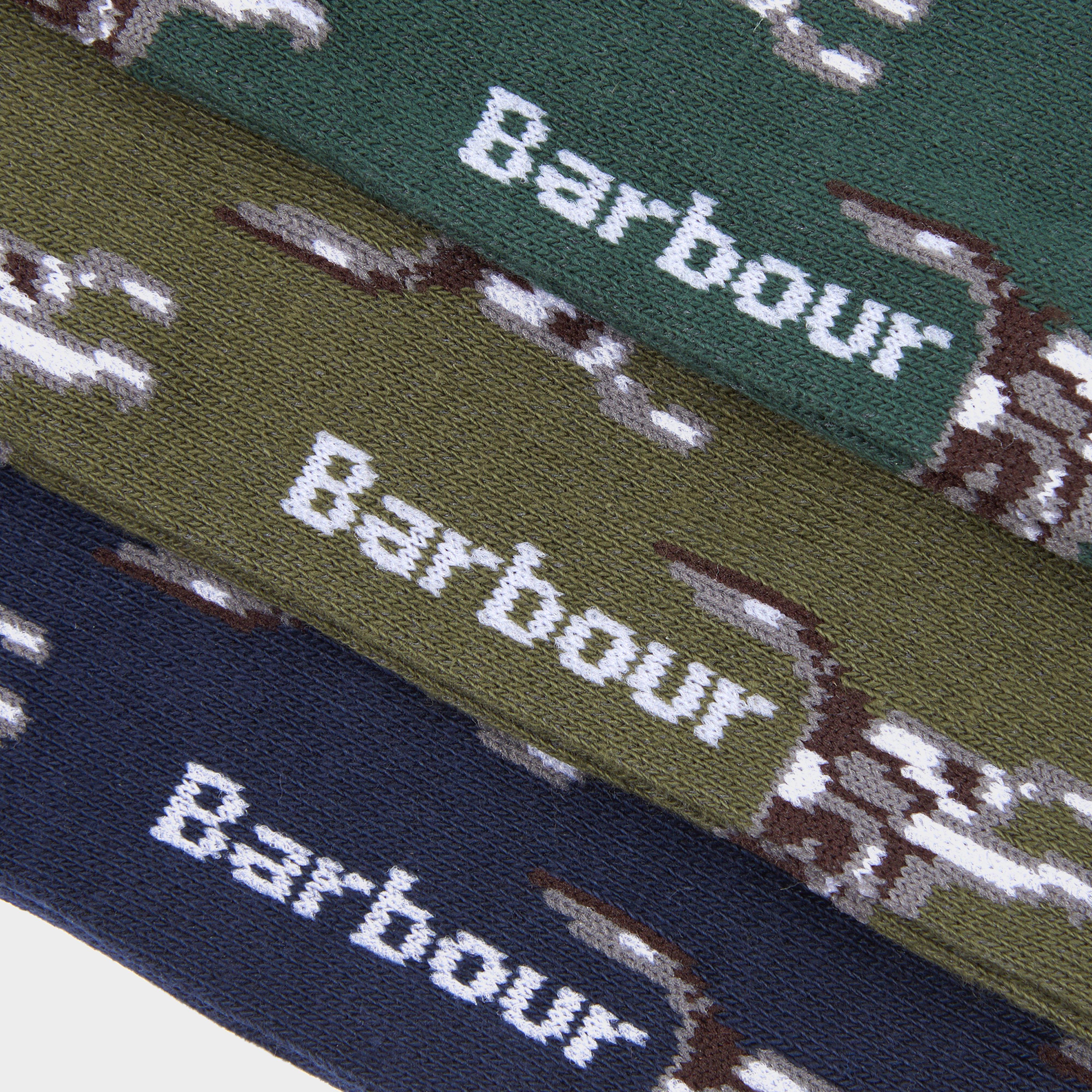 Mens Pointer Dog Socks Gift Box Blue/Green