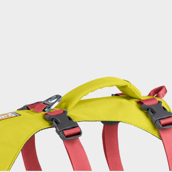 Flagline Harness With Handle Yellow/Red