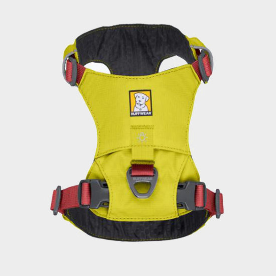 Hi & Light™ Lightweight Dog Harness Lichen Green