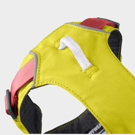 Hi & Light™ Lightweight Dog Harness Lichen Green