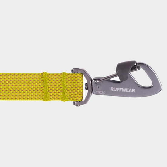 Flagline™ Dog Lead Lichen Green