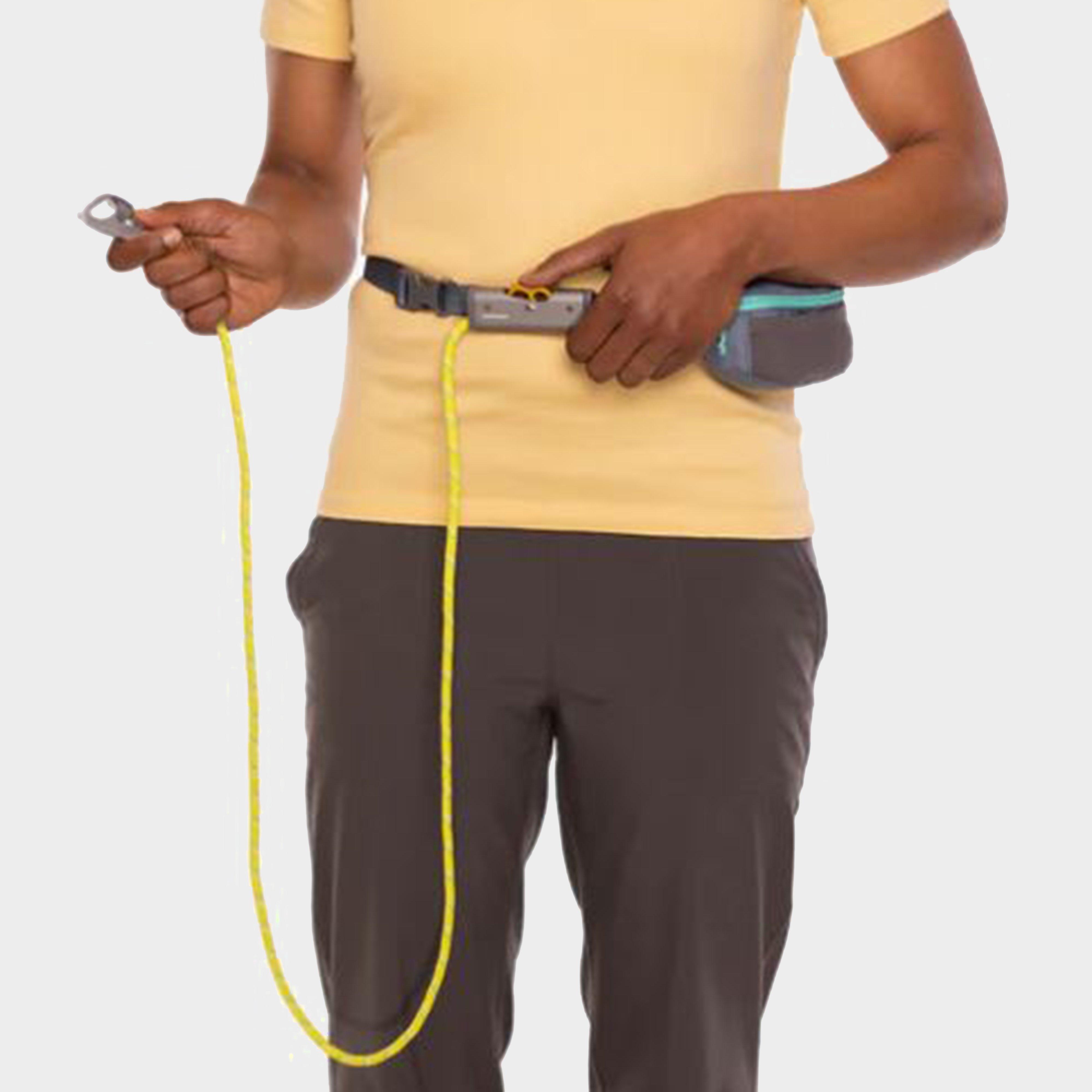 Hitch Hiker Leash Blue