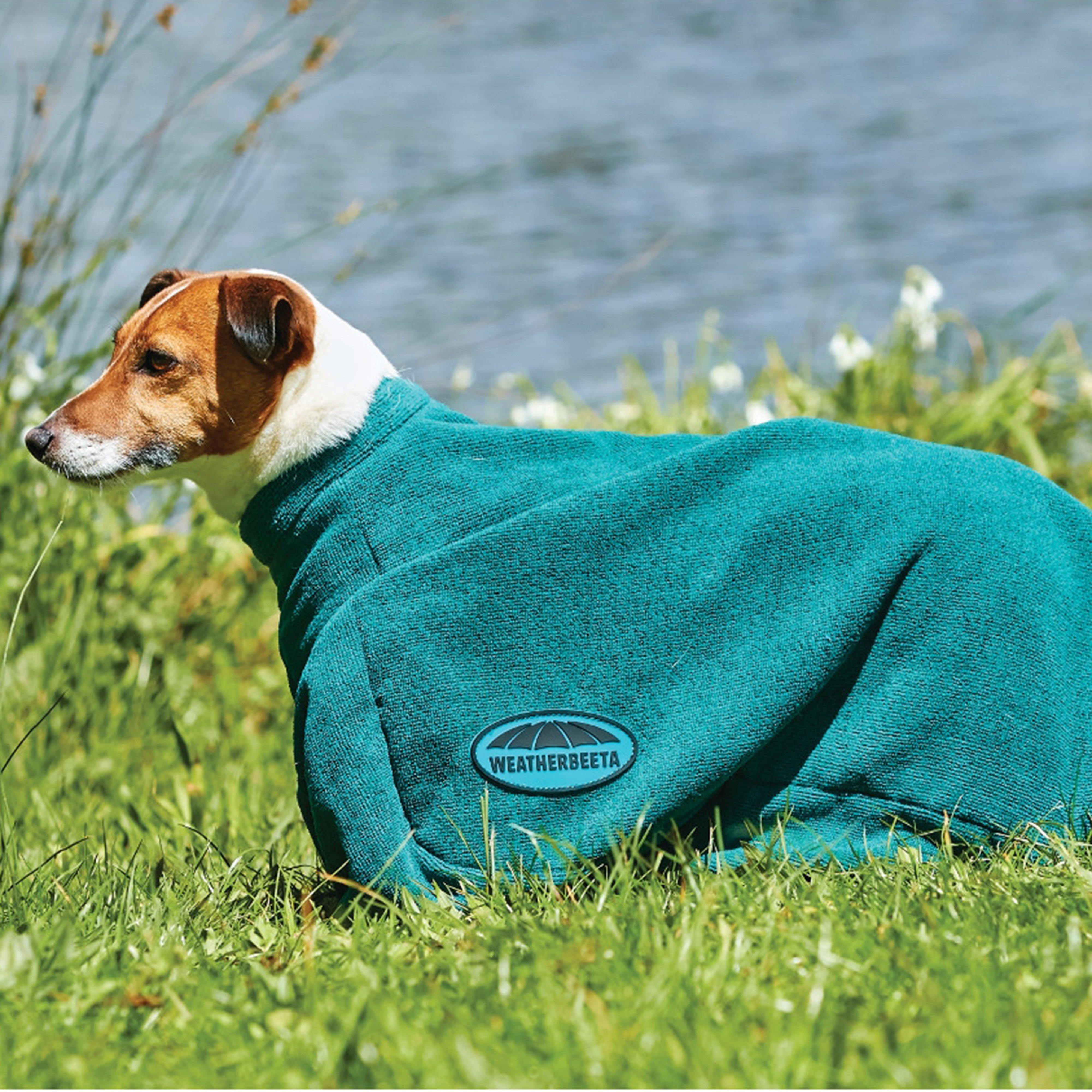 Dry Dog Bag Hunter Green