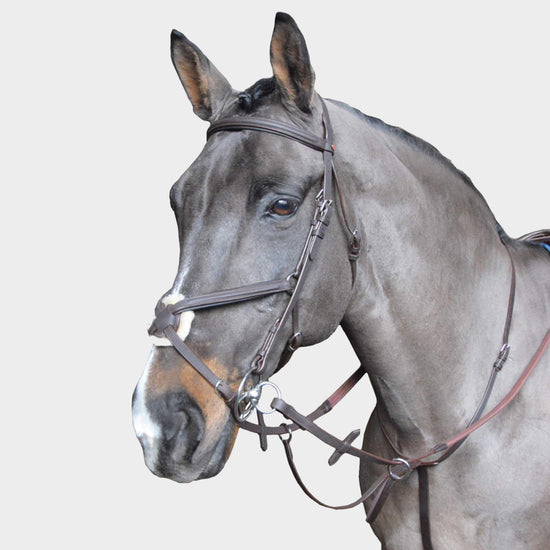 Ready To Ride Running Martingale Havana