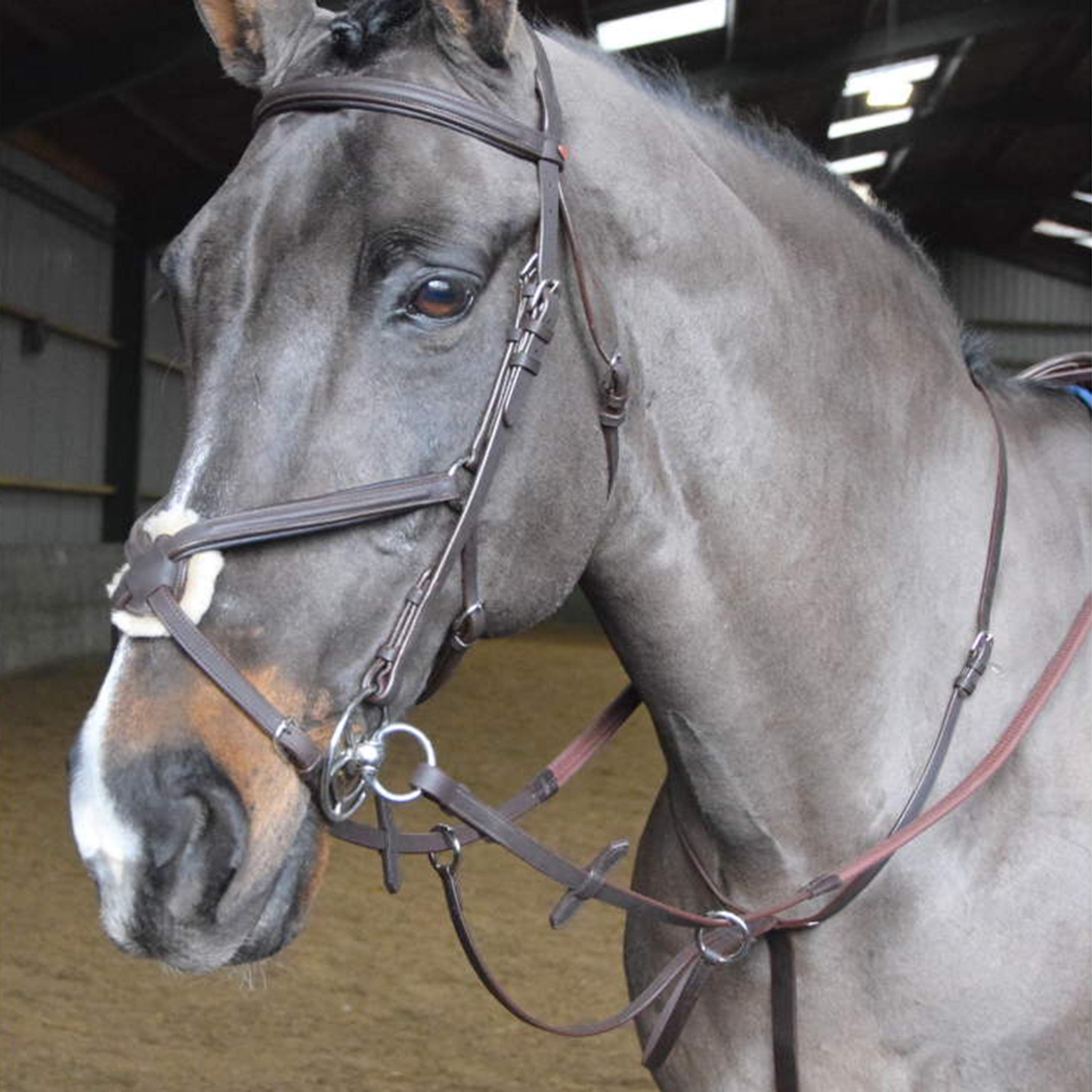 Ready To Ride Running Martingale Havana