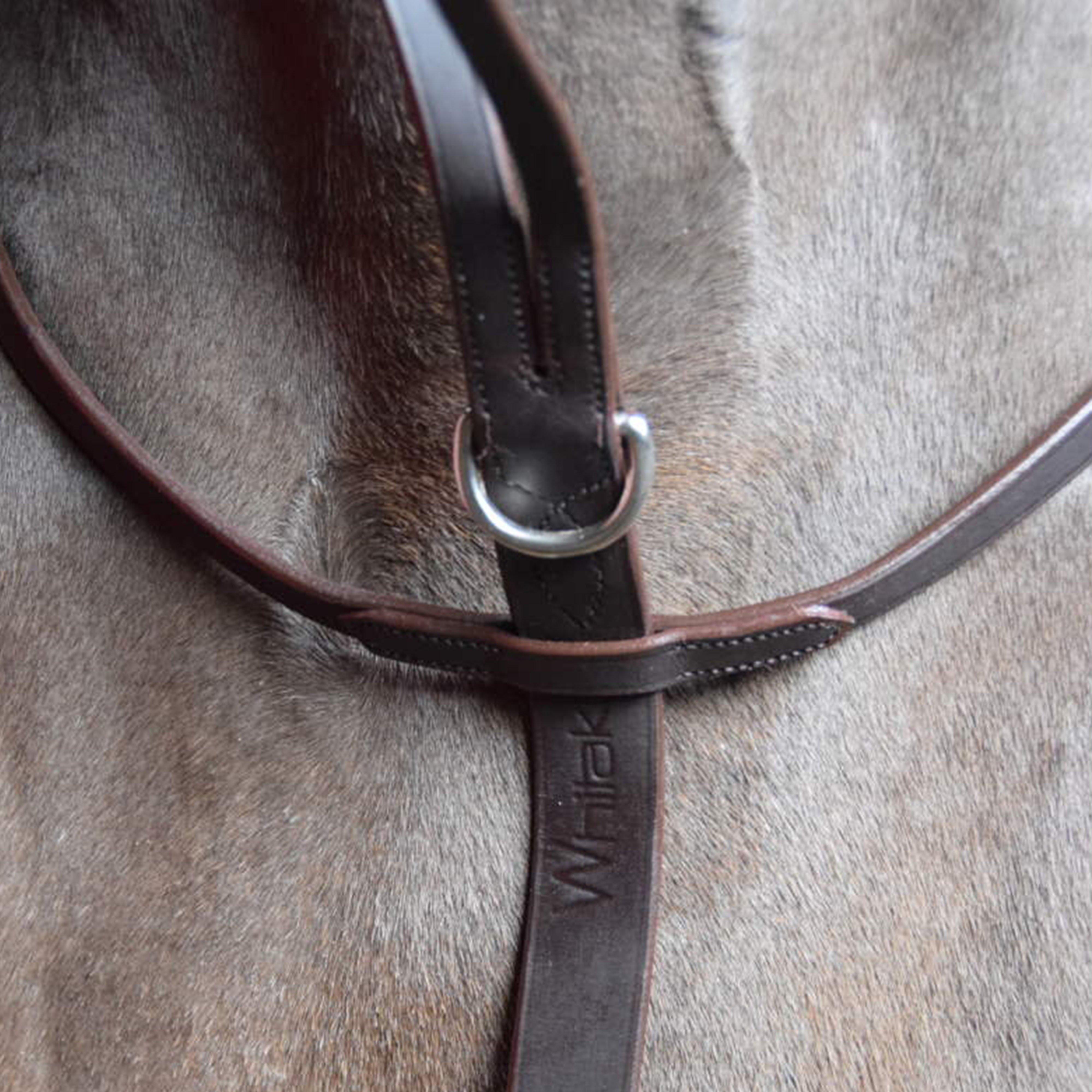 Ready To Ride Running Martingale Havana