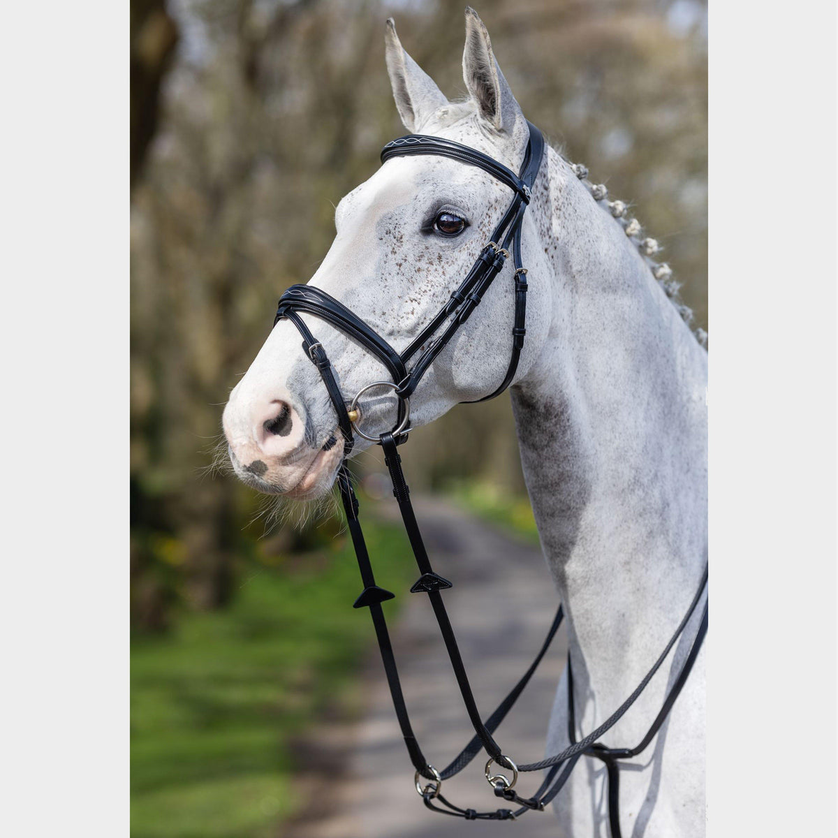 Competition Flash Bridle Black
