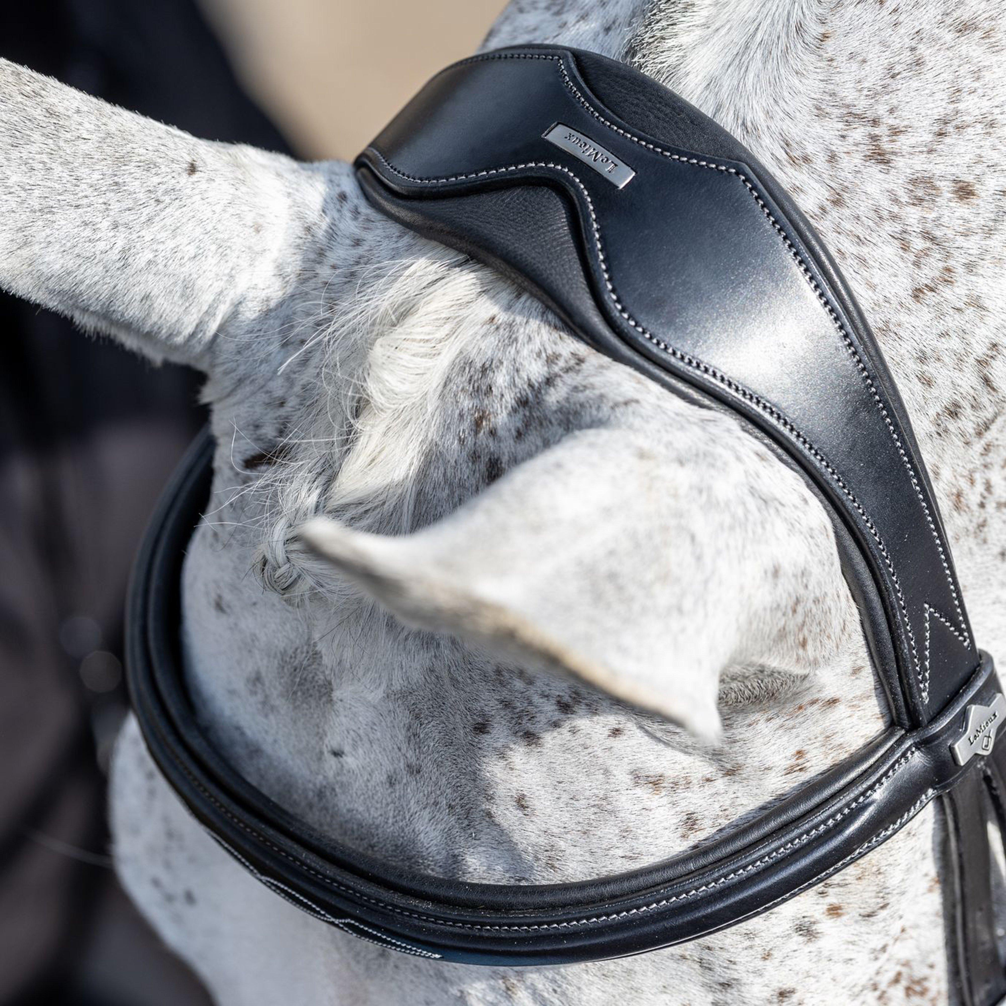 Competition Flash Bridle Black