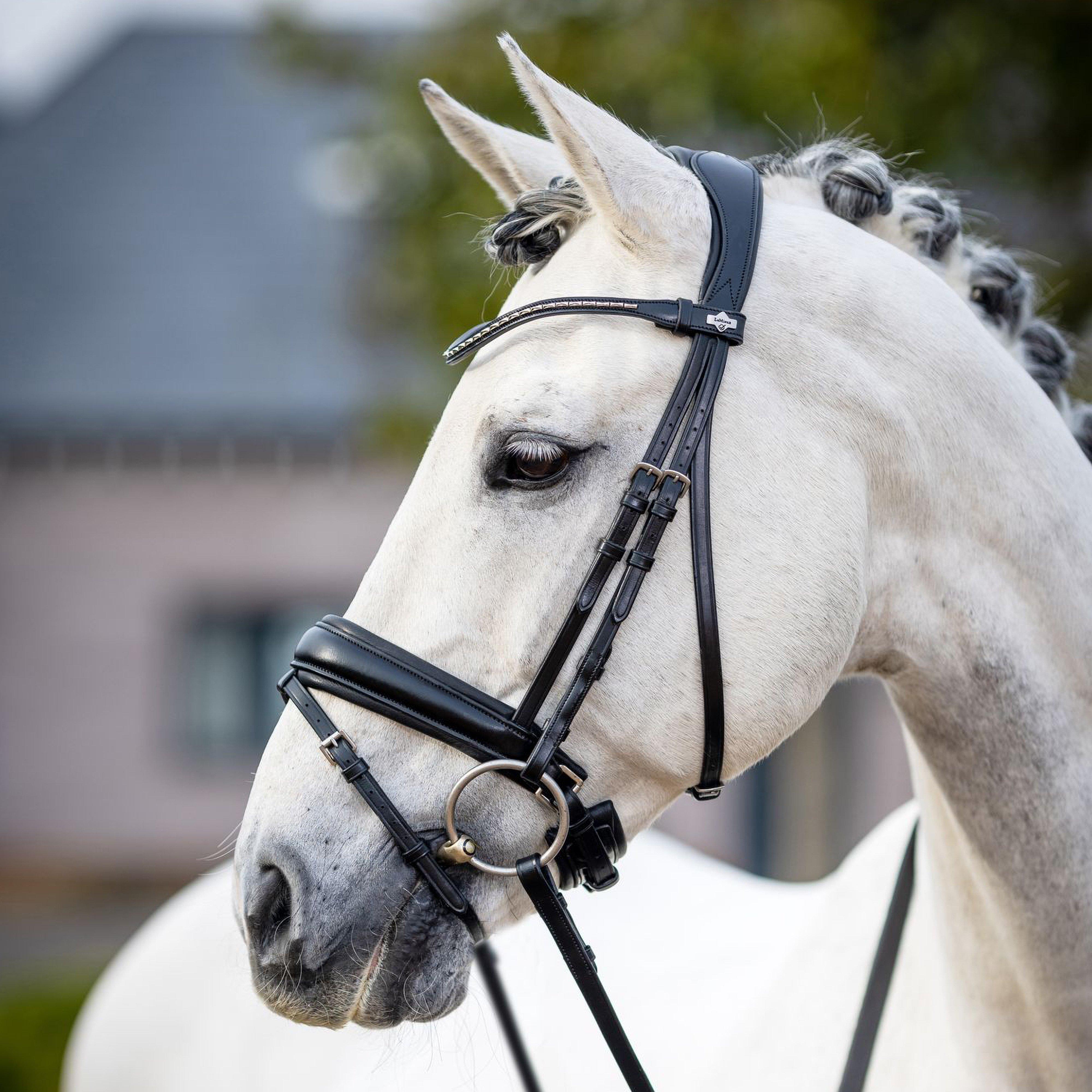 Classic Dressage Bridle Black