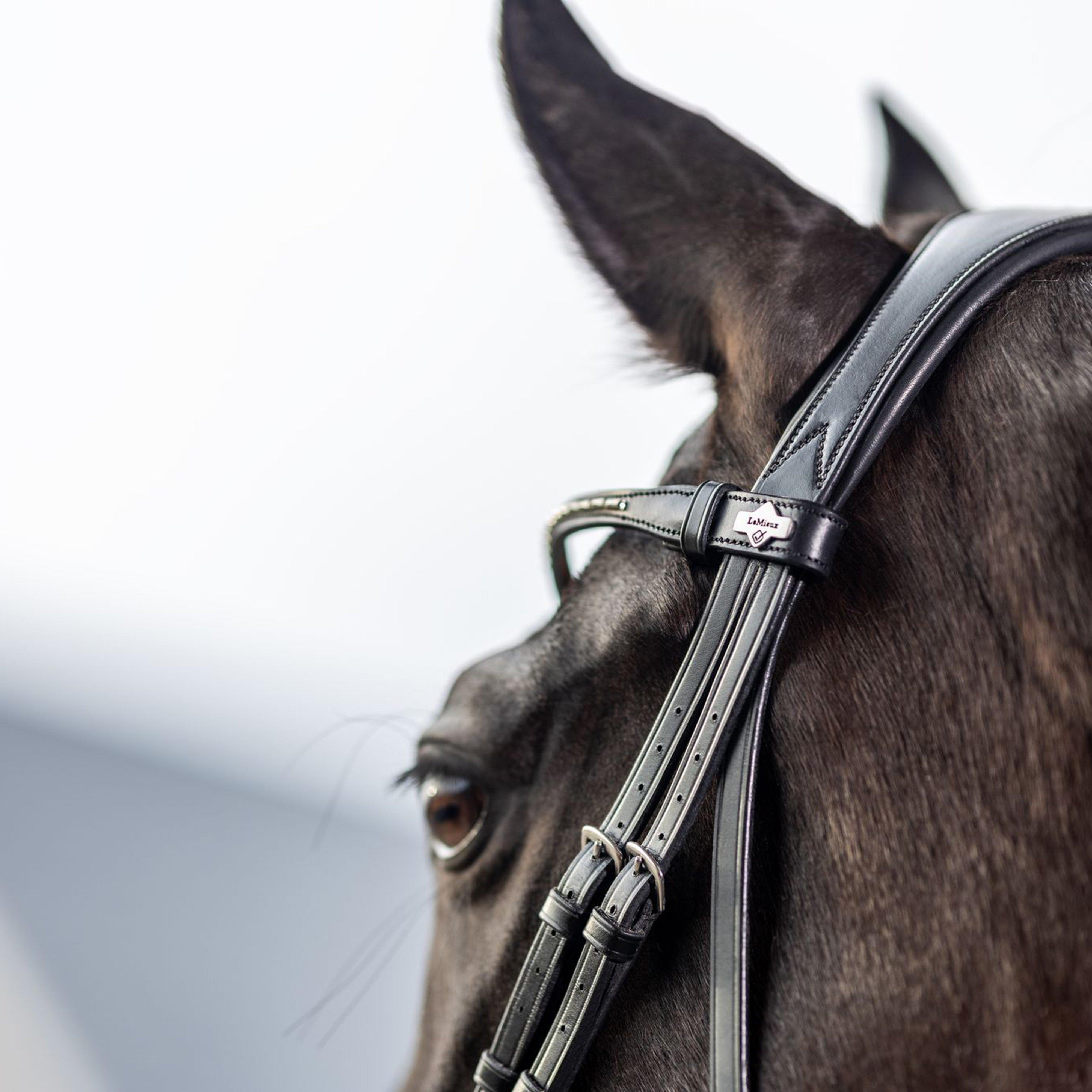 Classic Dressage Bridle Black