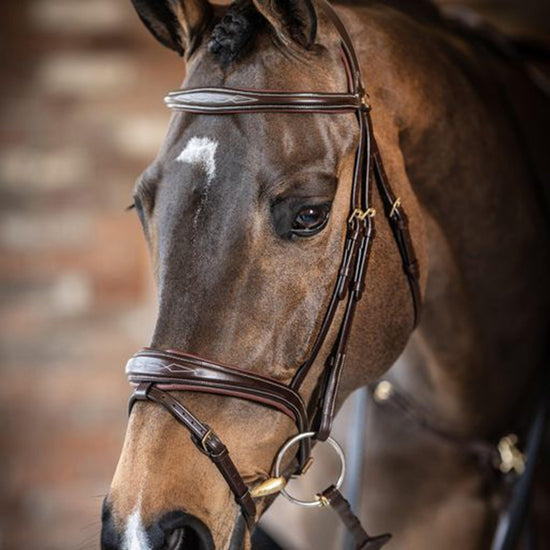 Competition Flash Bridle Brown