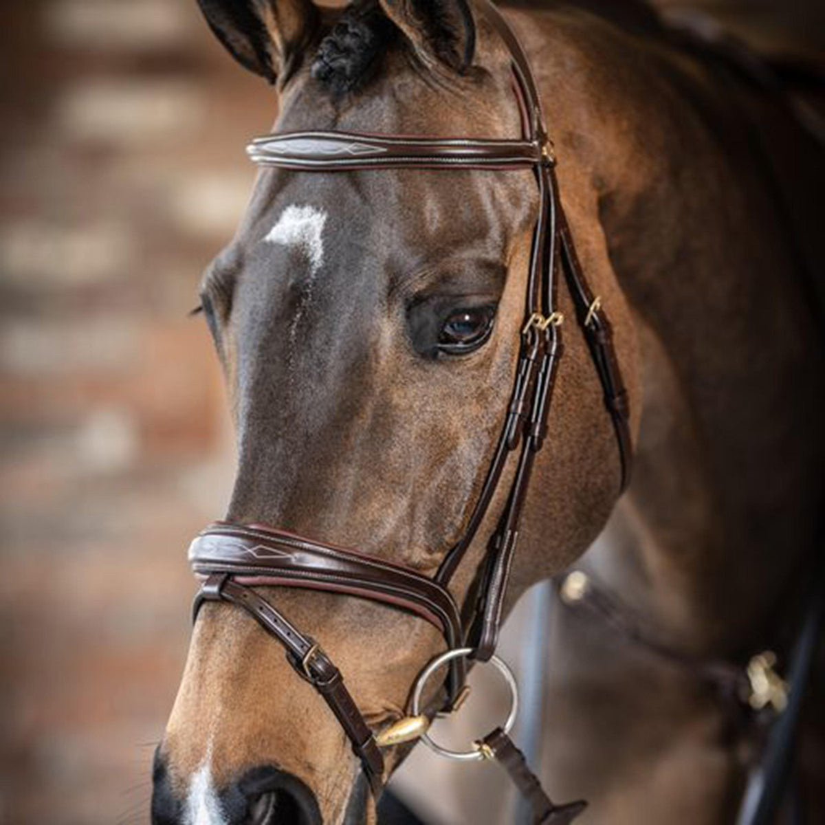 Competition Flash Bridle Brown