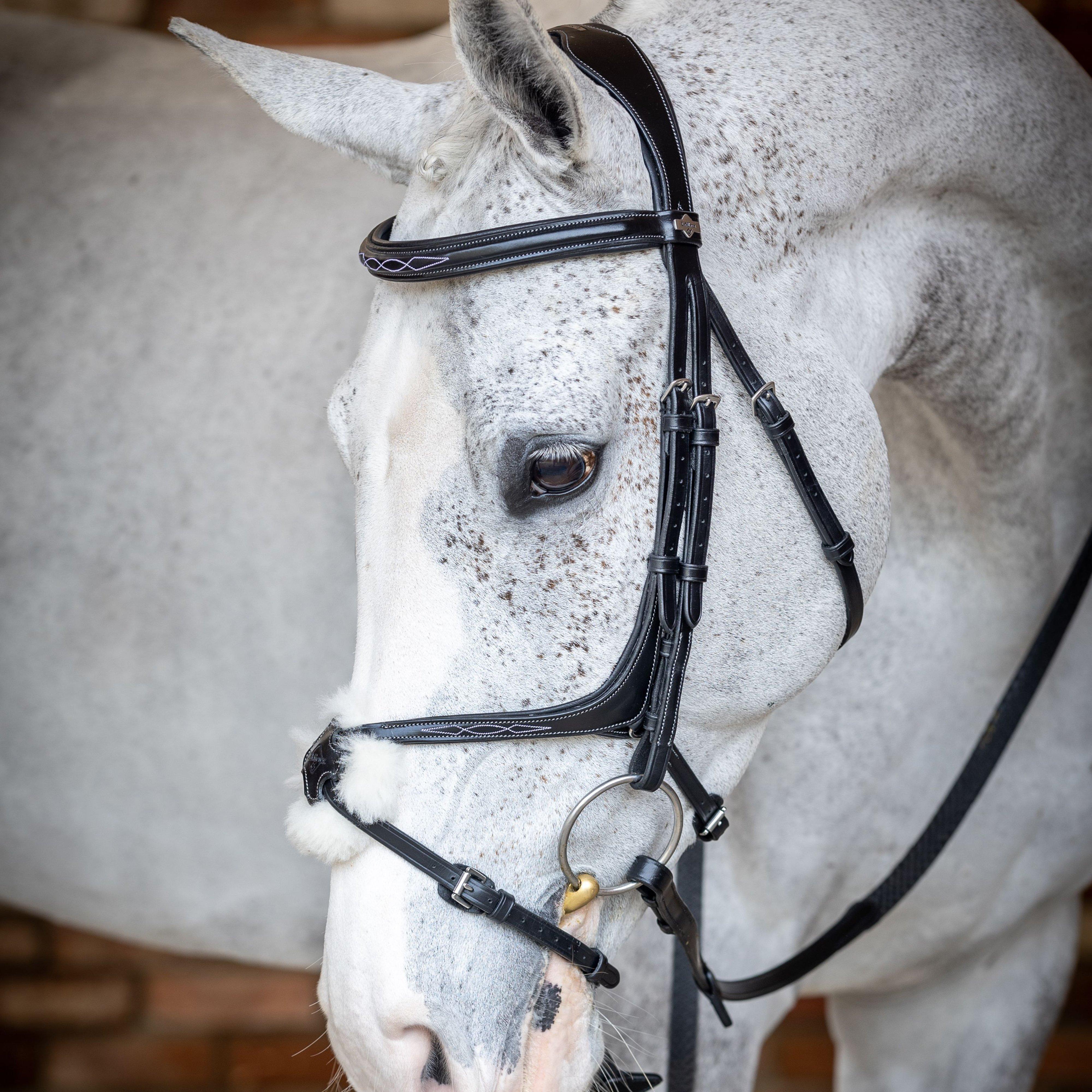 Grackle Bridle Black