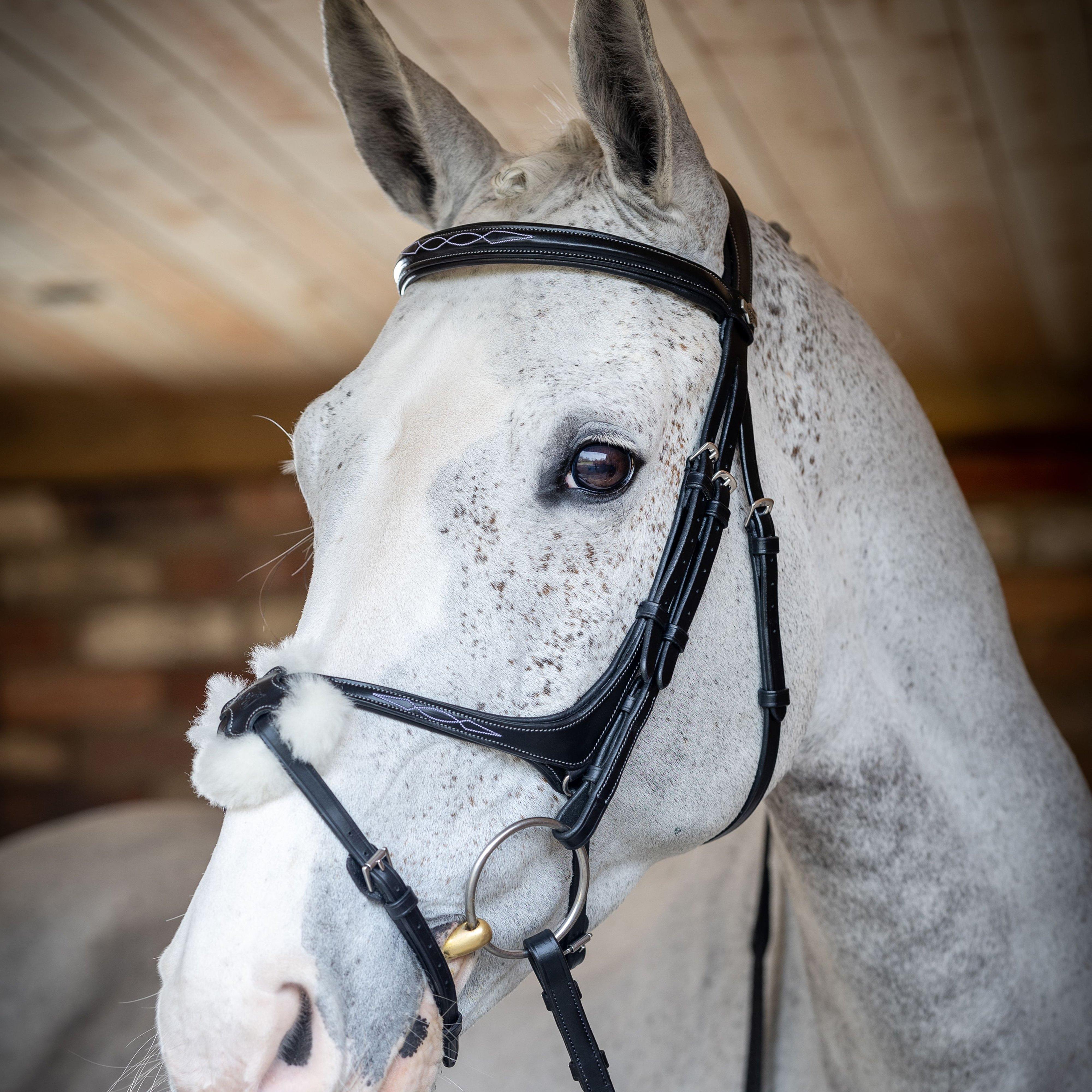 Grackle Bridle Black