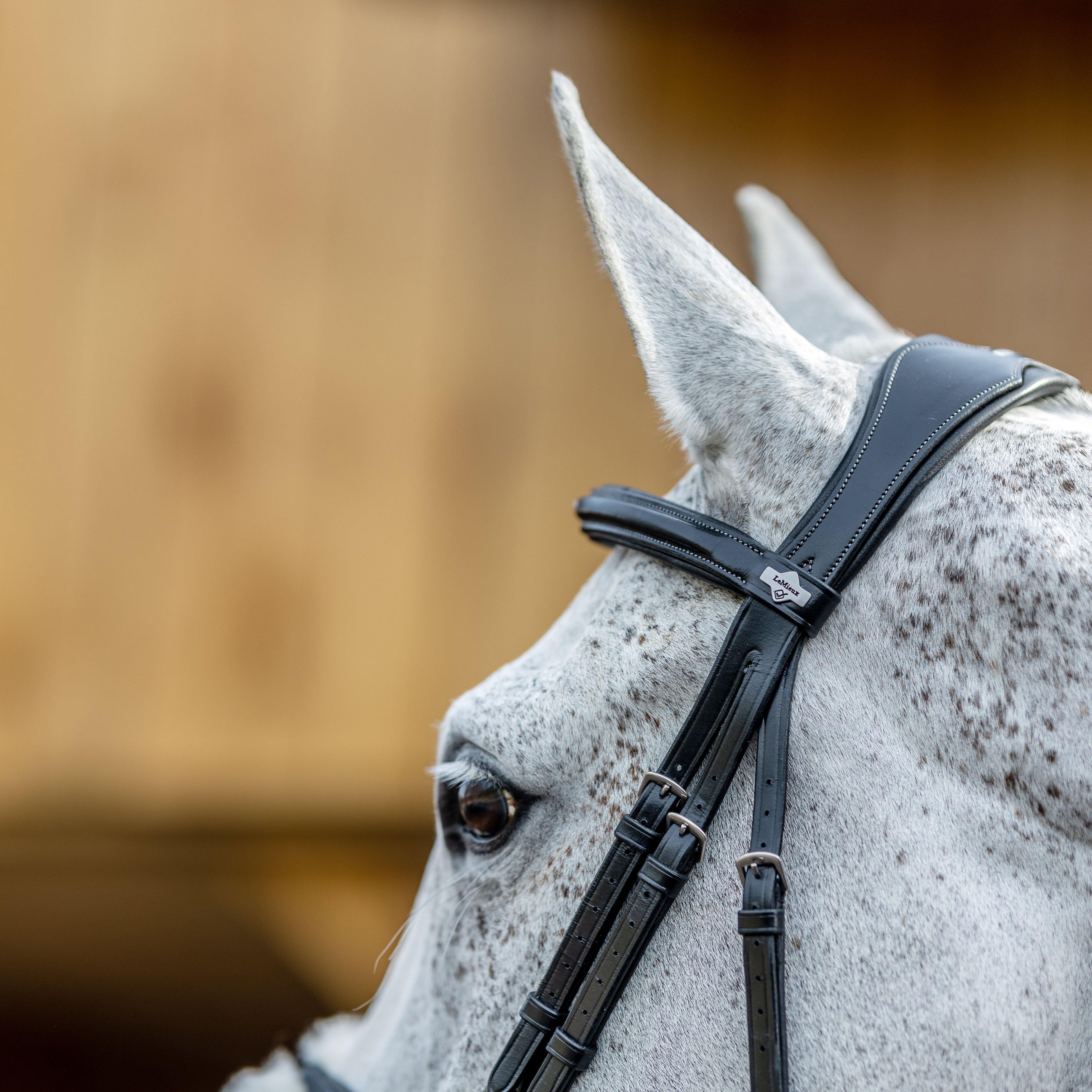 Grackle Bridle Black