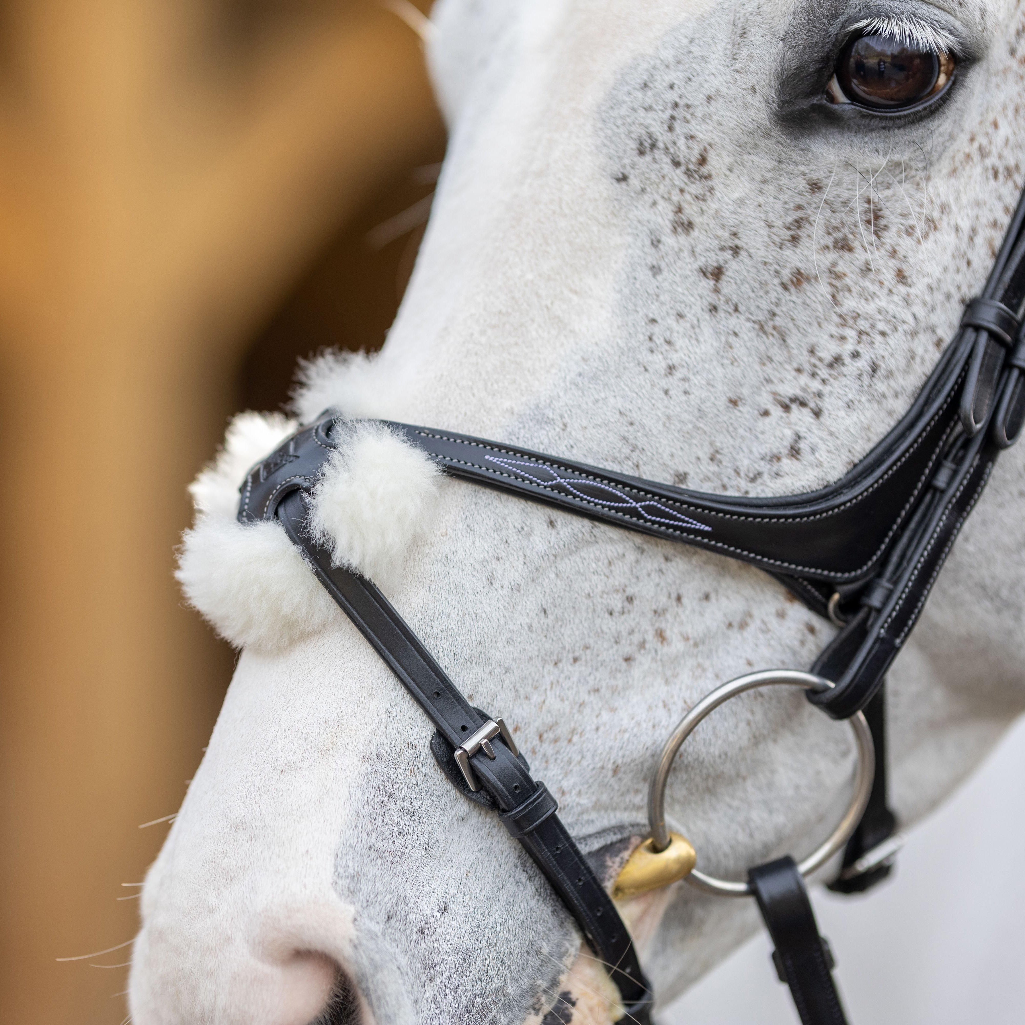 Grackle Bridle Black