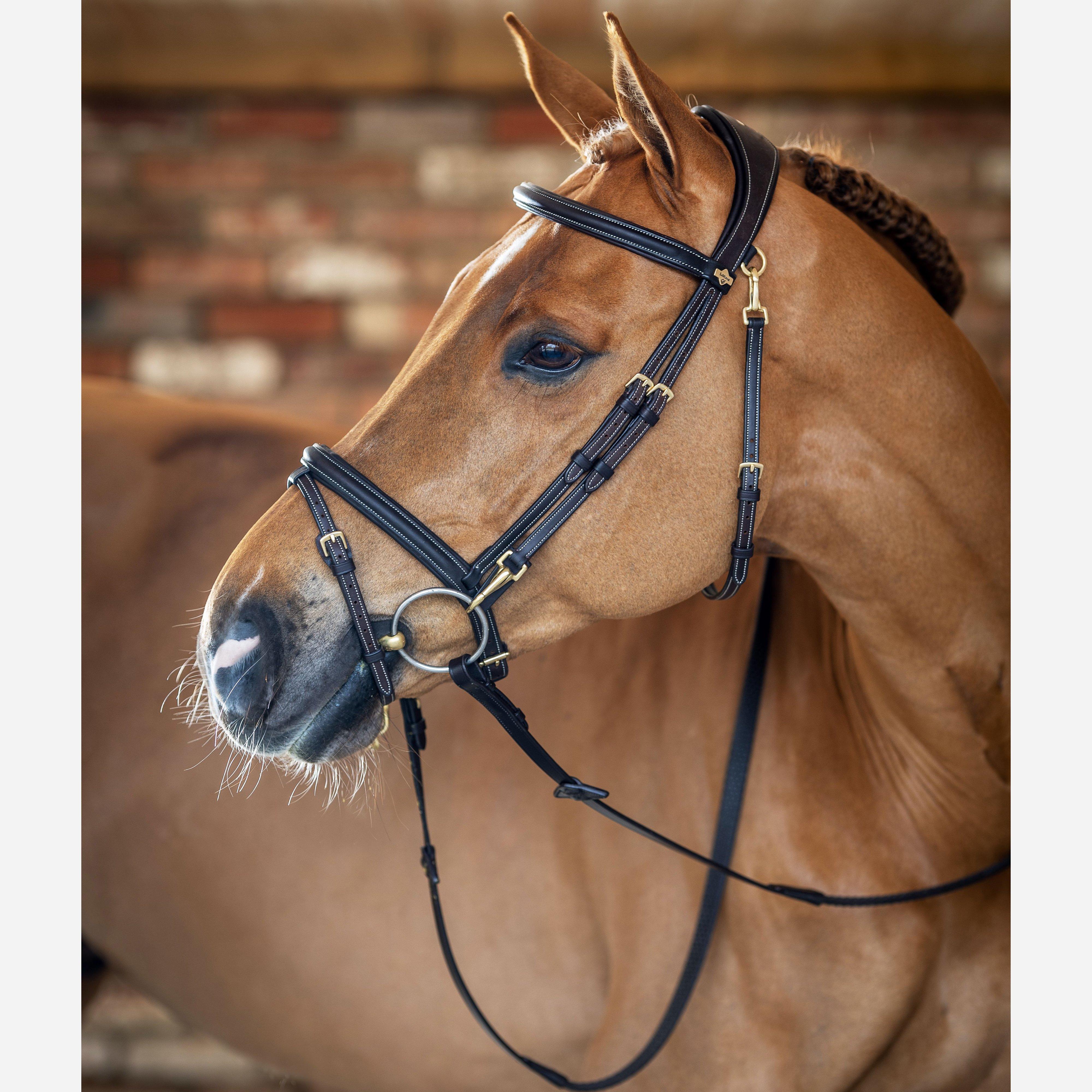 Work Bridle Brown