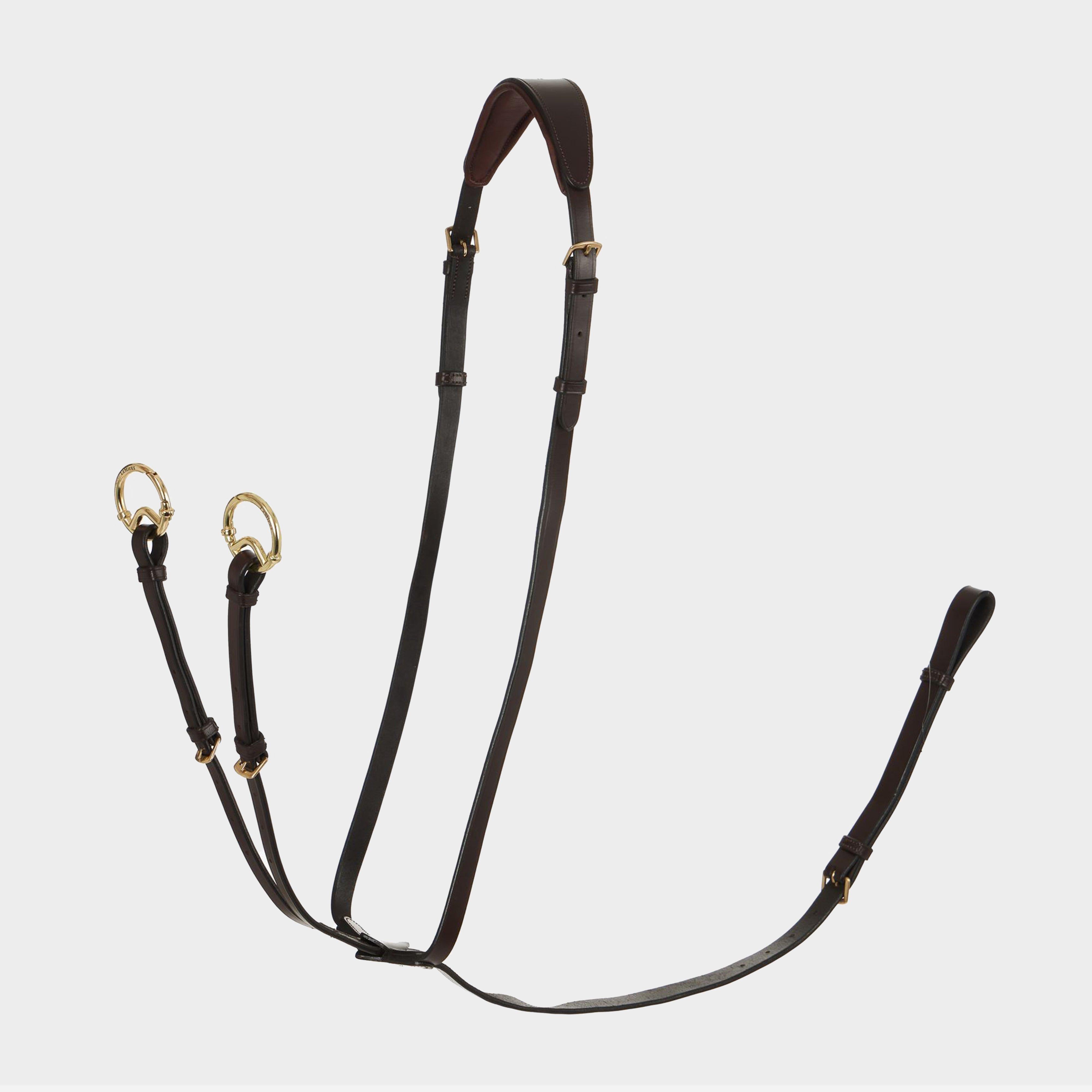 Running Martingale Havana/Brass