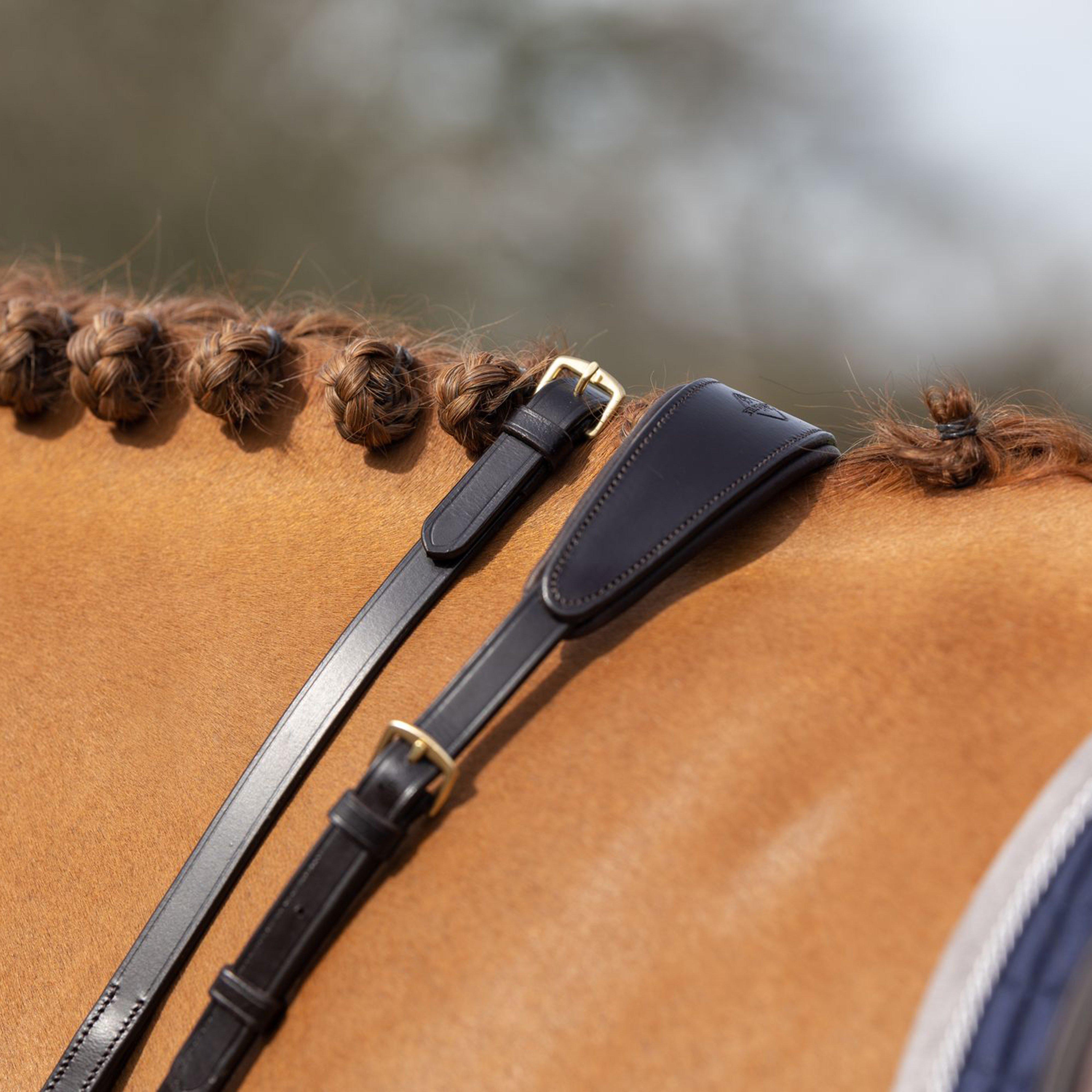 Running Martingale Brown