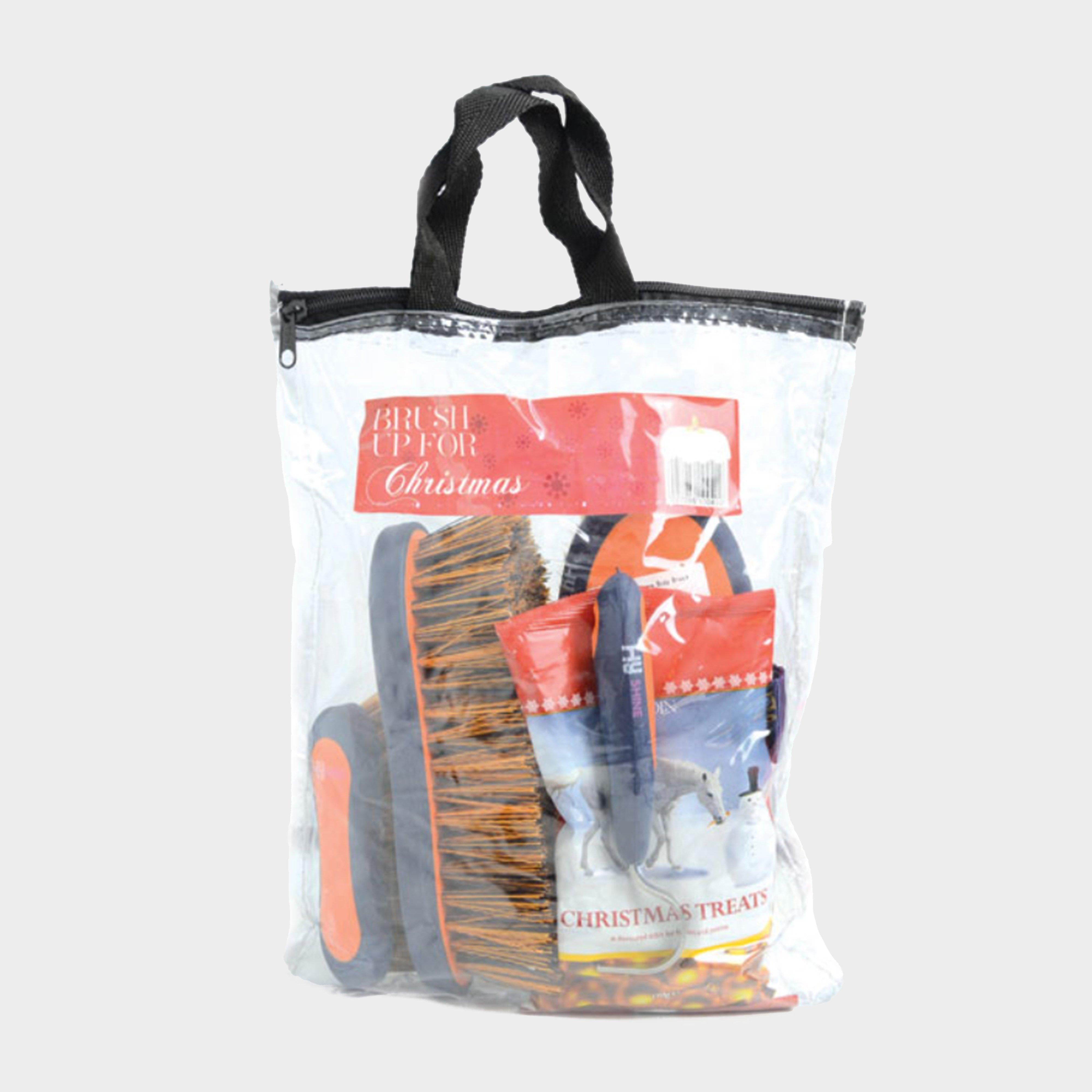 Brush Up For Christmas Kit Orange