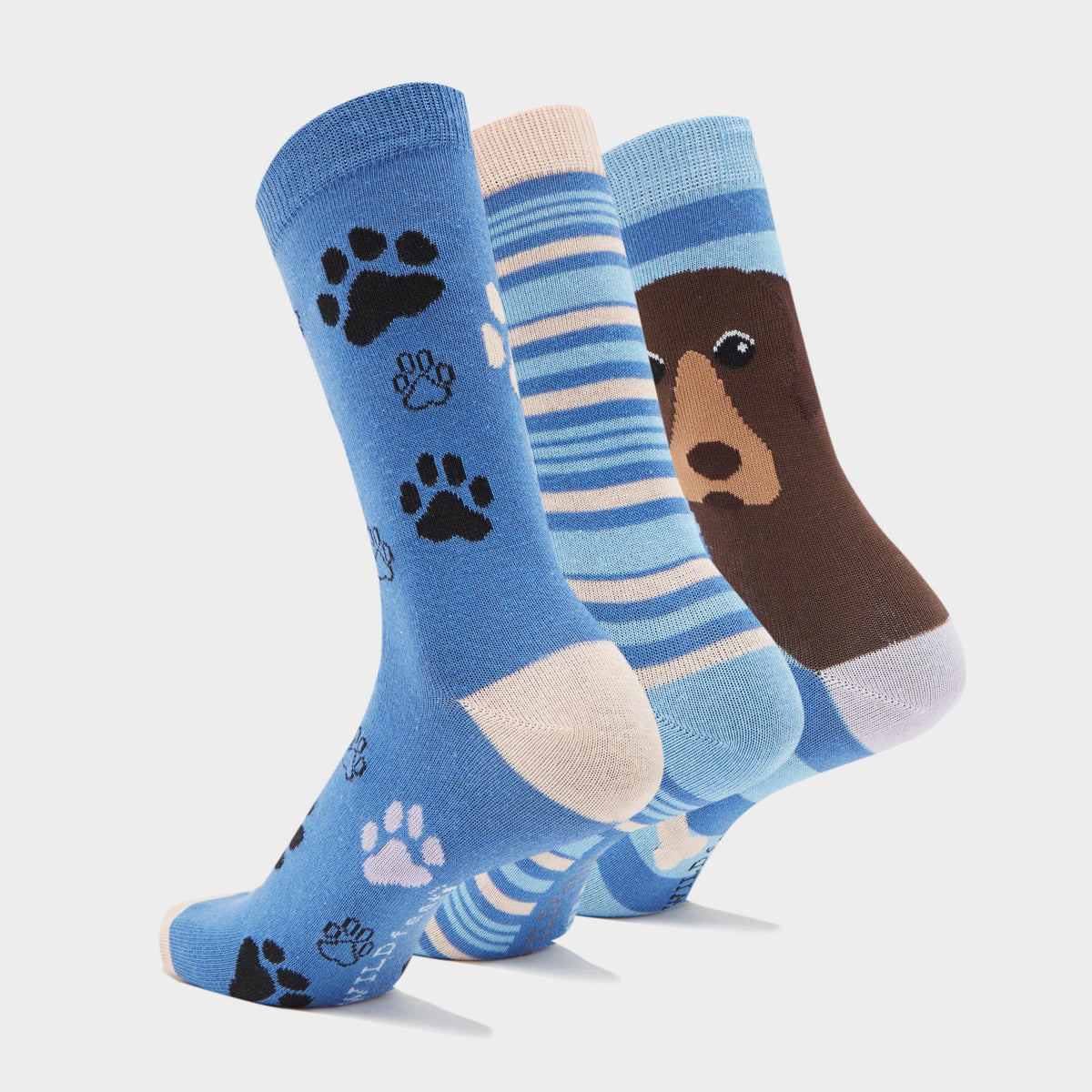 Wild Feet Women's 3 Pack Fashion Socks Navy Dog