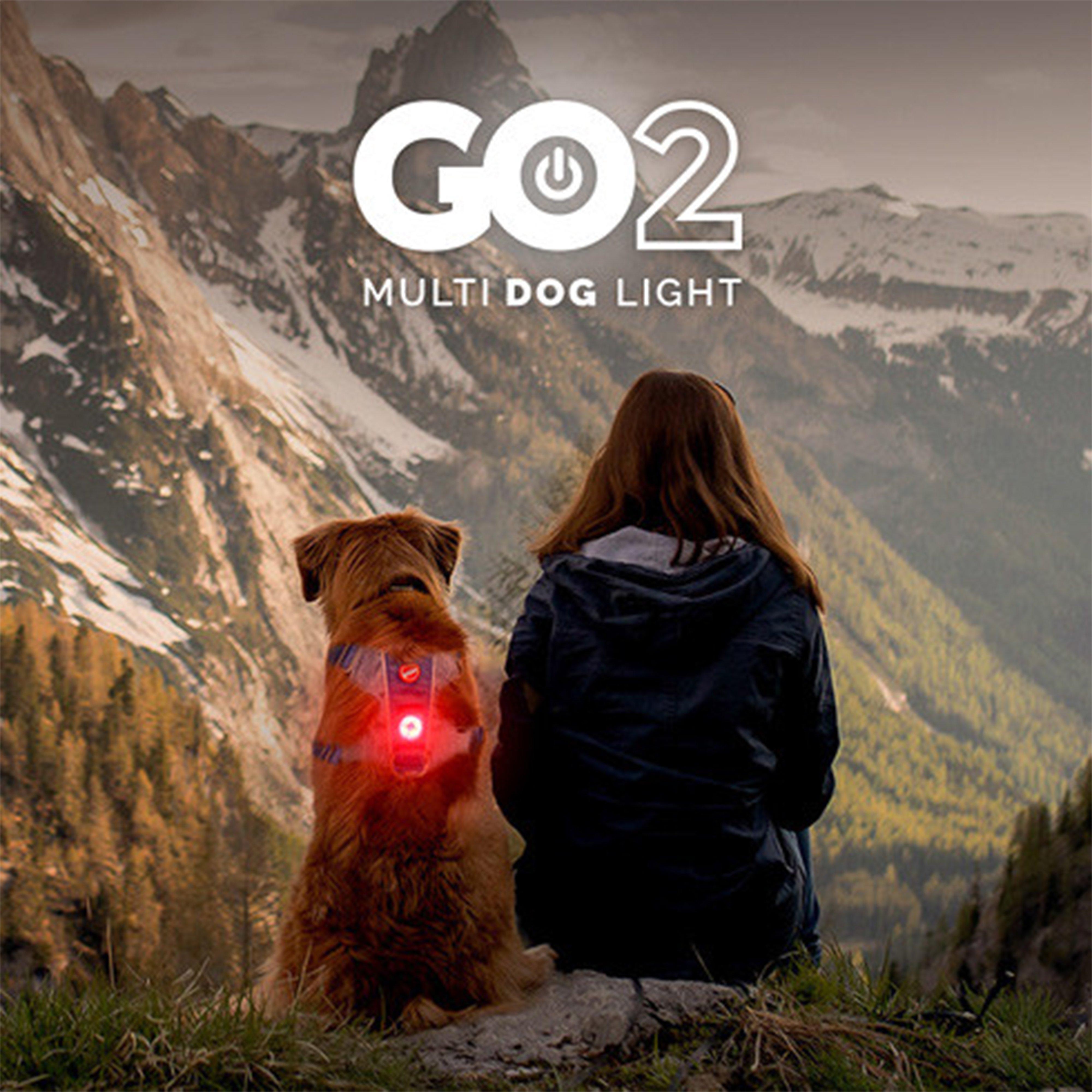 GO2 Light Red
