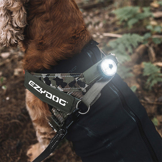 GO2 Light Multi-Colour