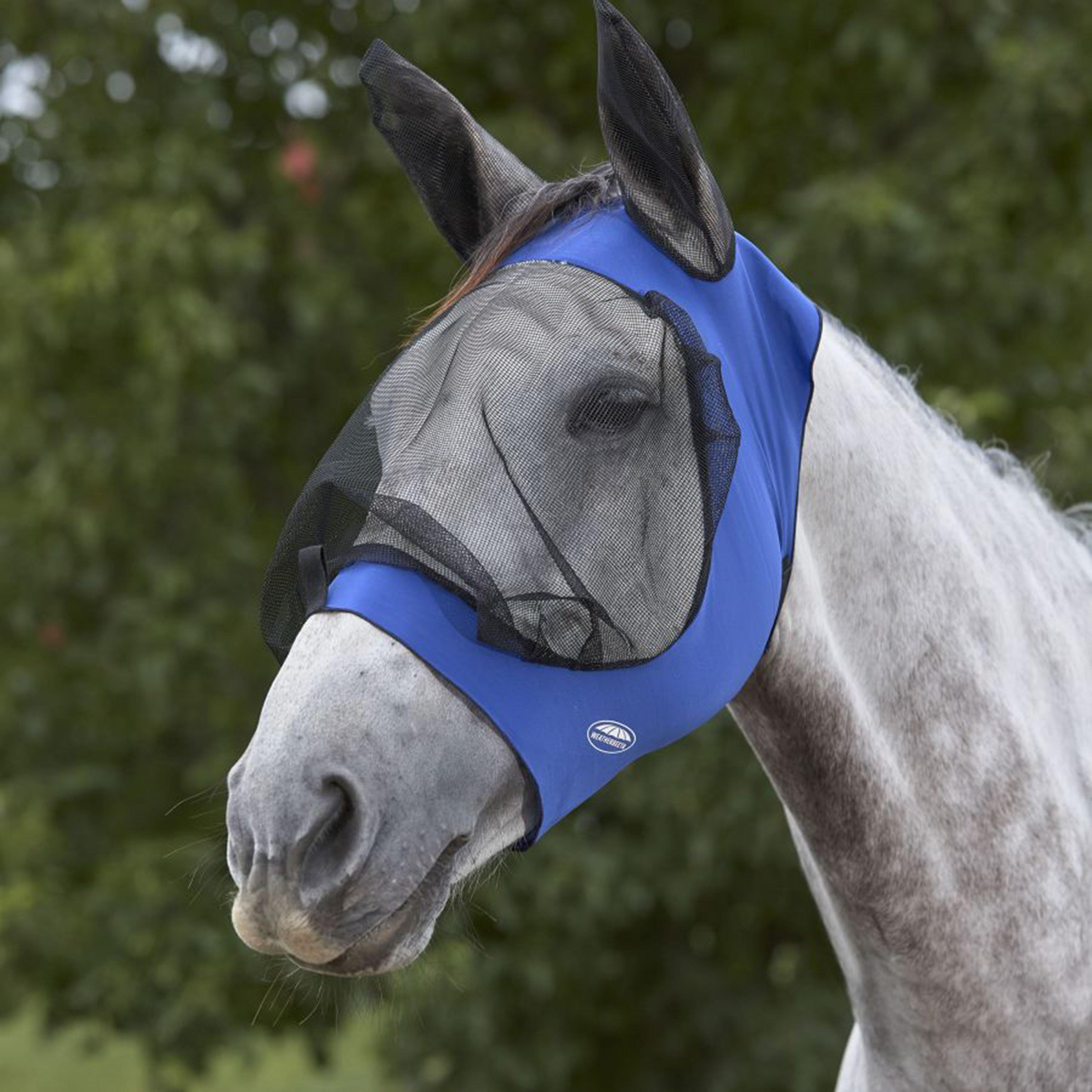 Deluxe Stretch Eye Saver With Ears Royal Blue/Black