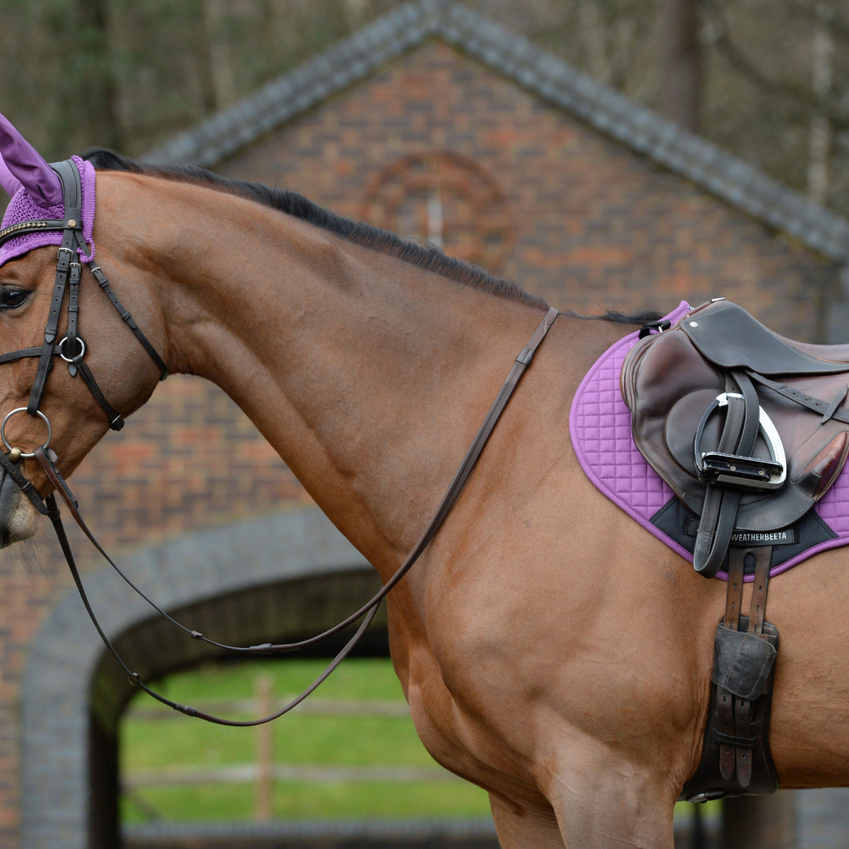 Prime Jump Saddle Pad Violet