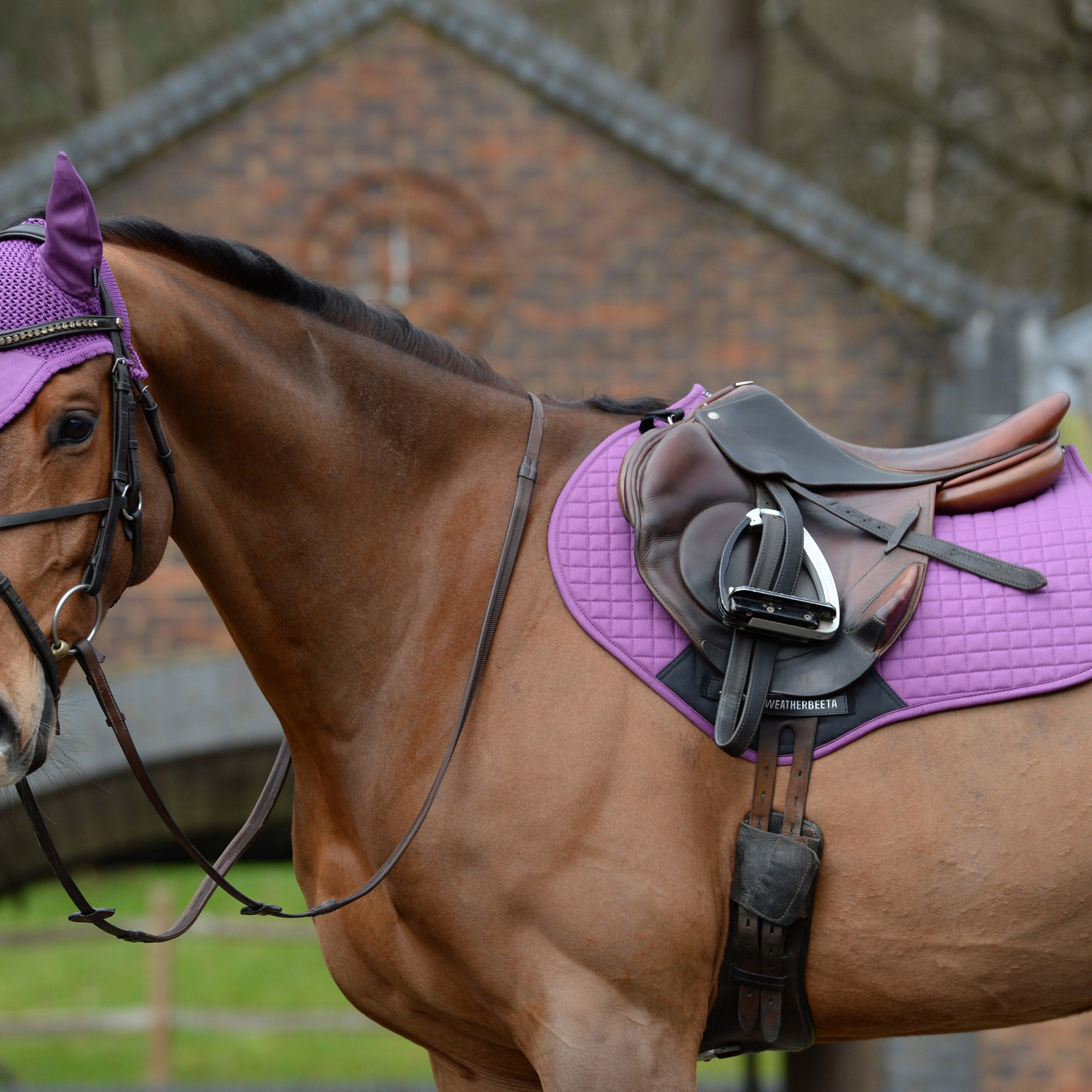 Prime Jump Saddle Pad Violet