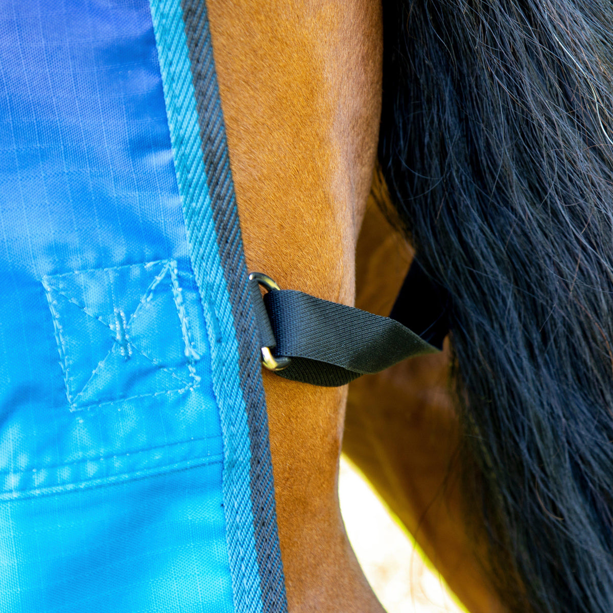 Tempest Original Lite 0g Combo Neck Turnout Rug Blue Skeleton