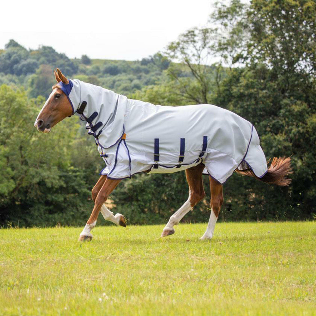 Highlander Plus Sun Shade Fly Combo Rug White