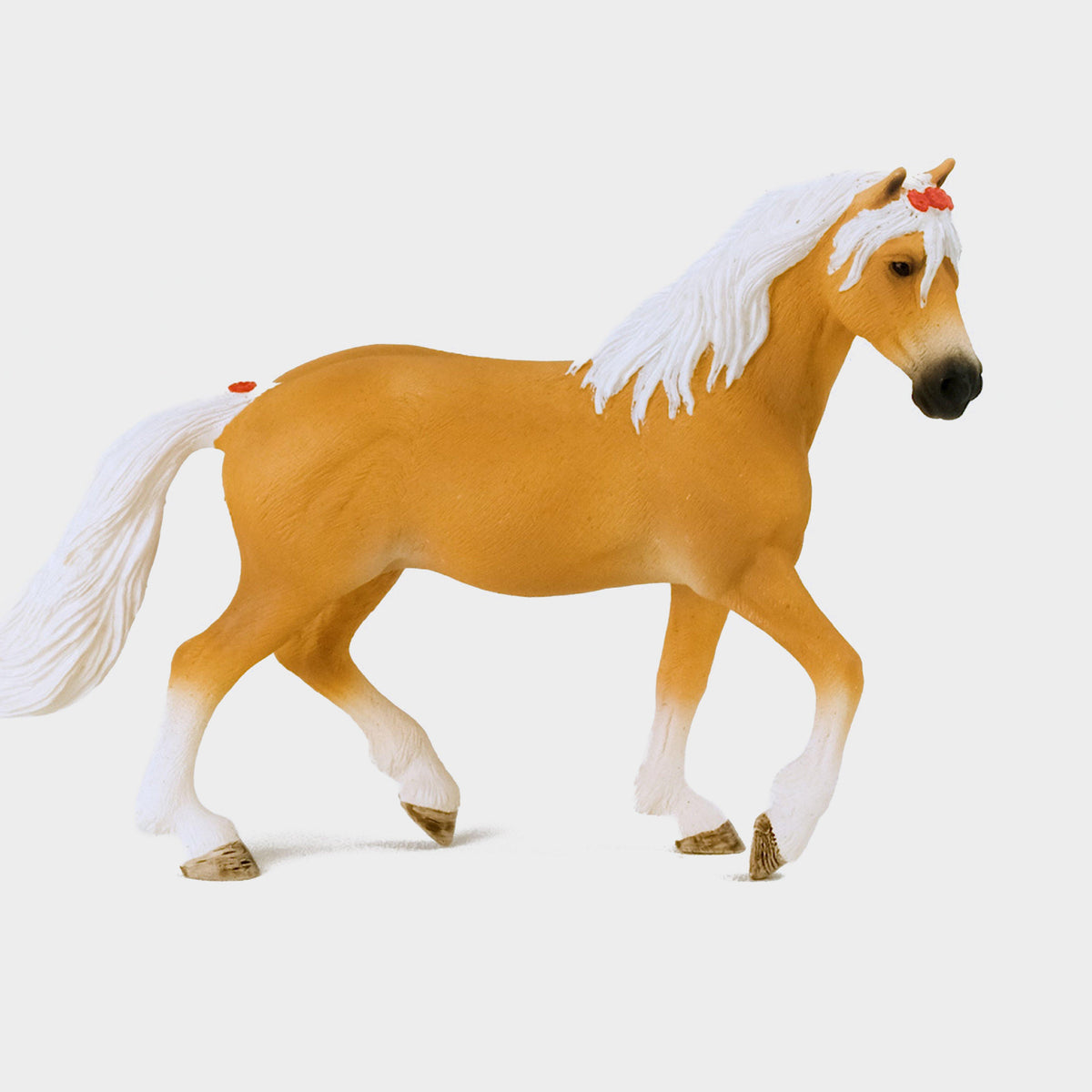Haflinger Mare