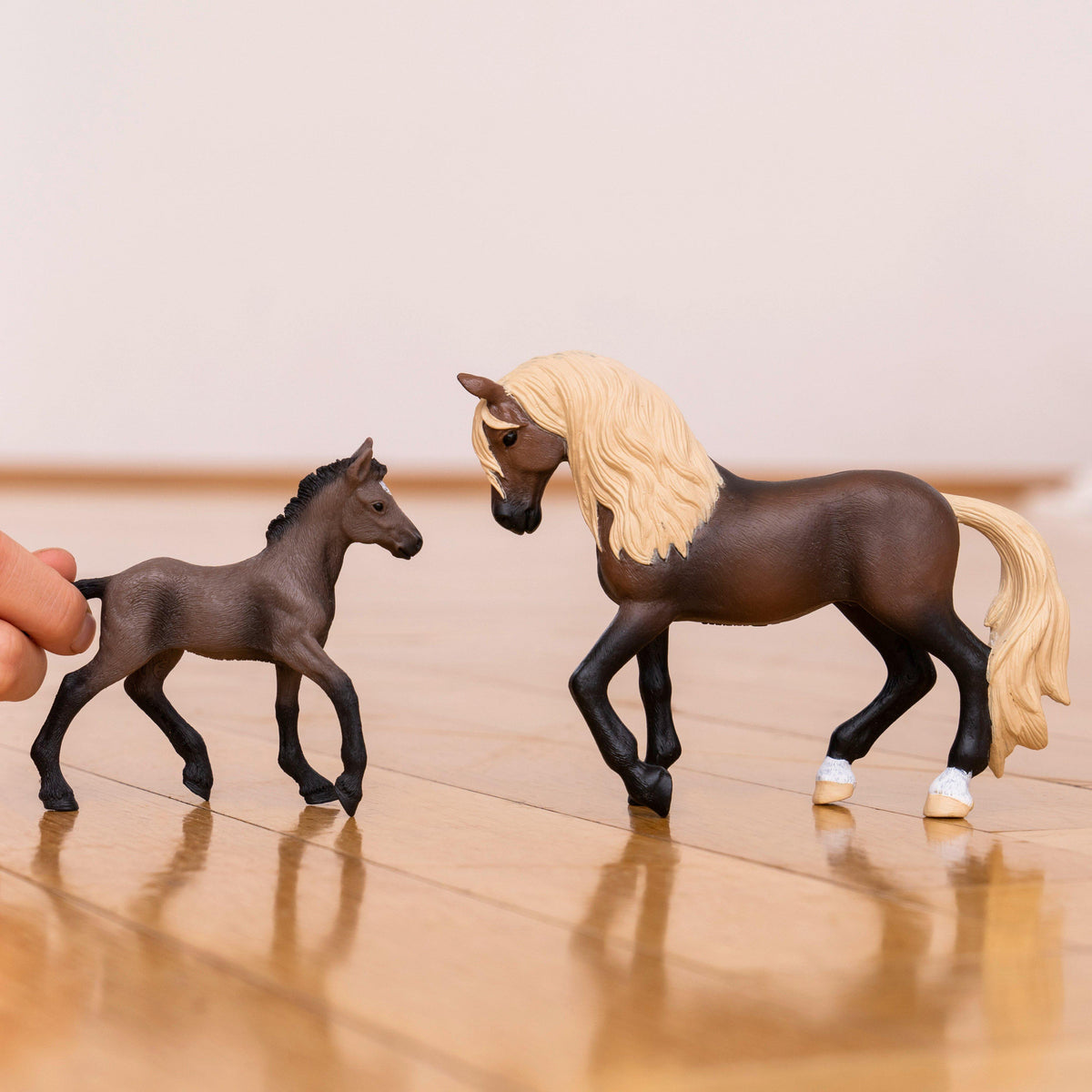 Peruvian Paso Stallion