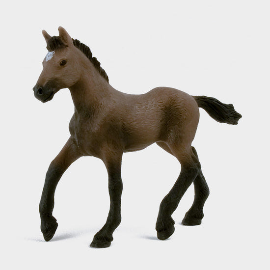 Peruvian Paso Foal